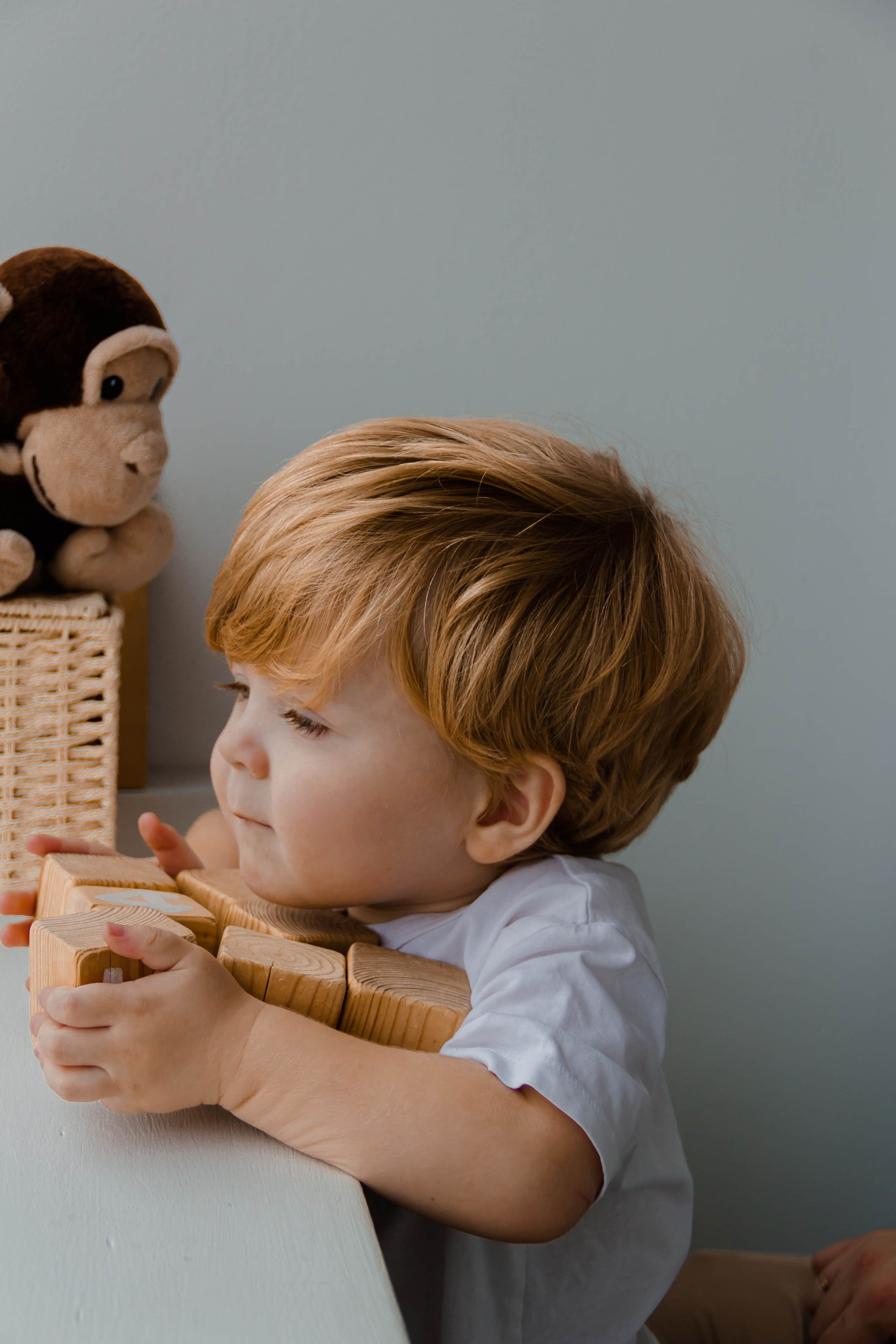 Алексей\Света\Лев