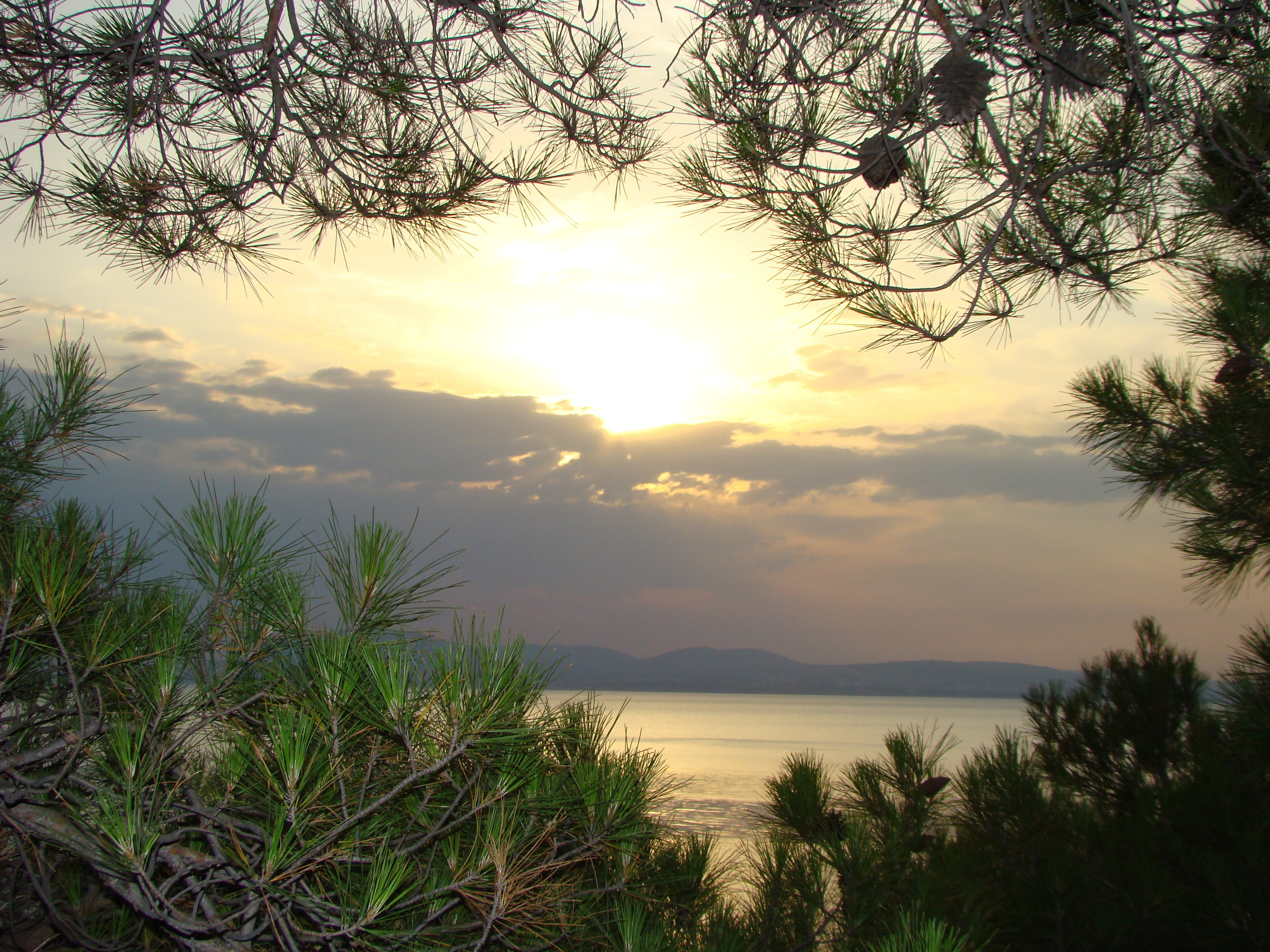 Кабардинка (фото Зевиных) 25.06-24.07.2008. Семейный, Свадебный фотограф СПБ Питер— Романова Екатерина