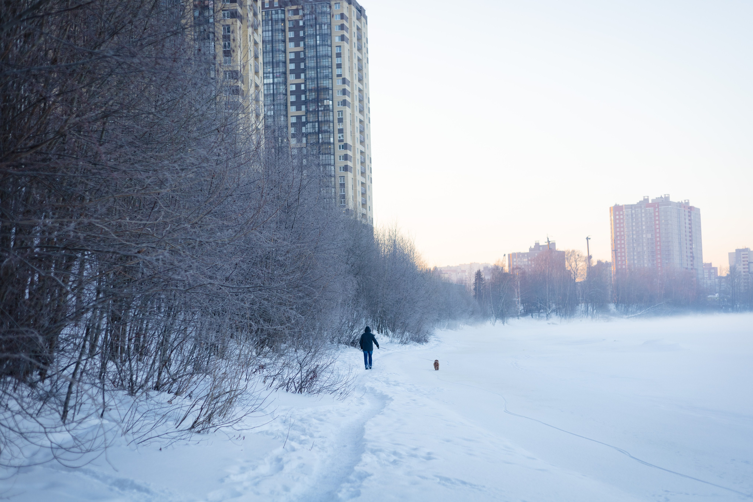 Зимняя прогулка с собакой. Детская фотосессия. Семейный и детский фотограф в Санкт-Петербурге Павлова Елена