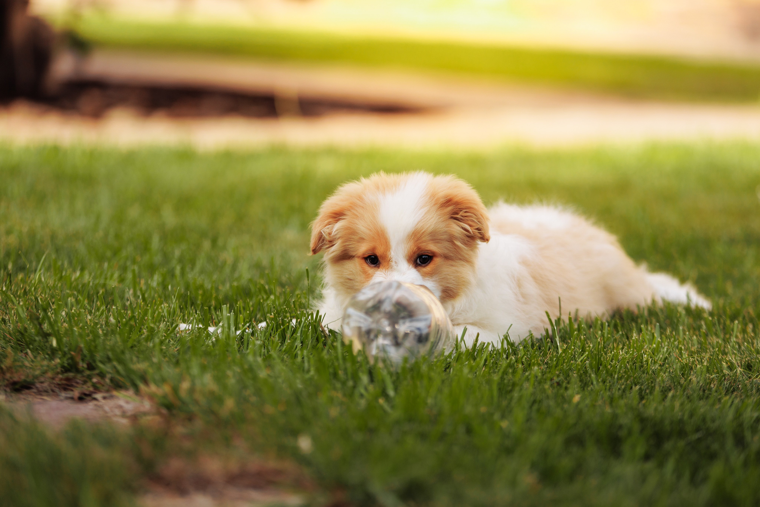 СОлнечные. О нас