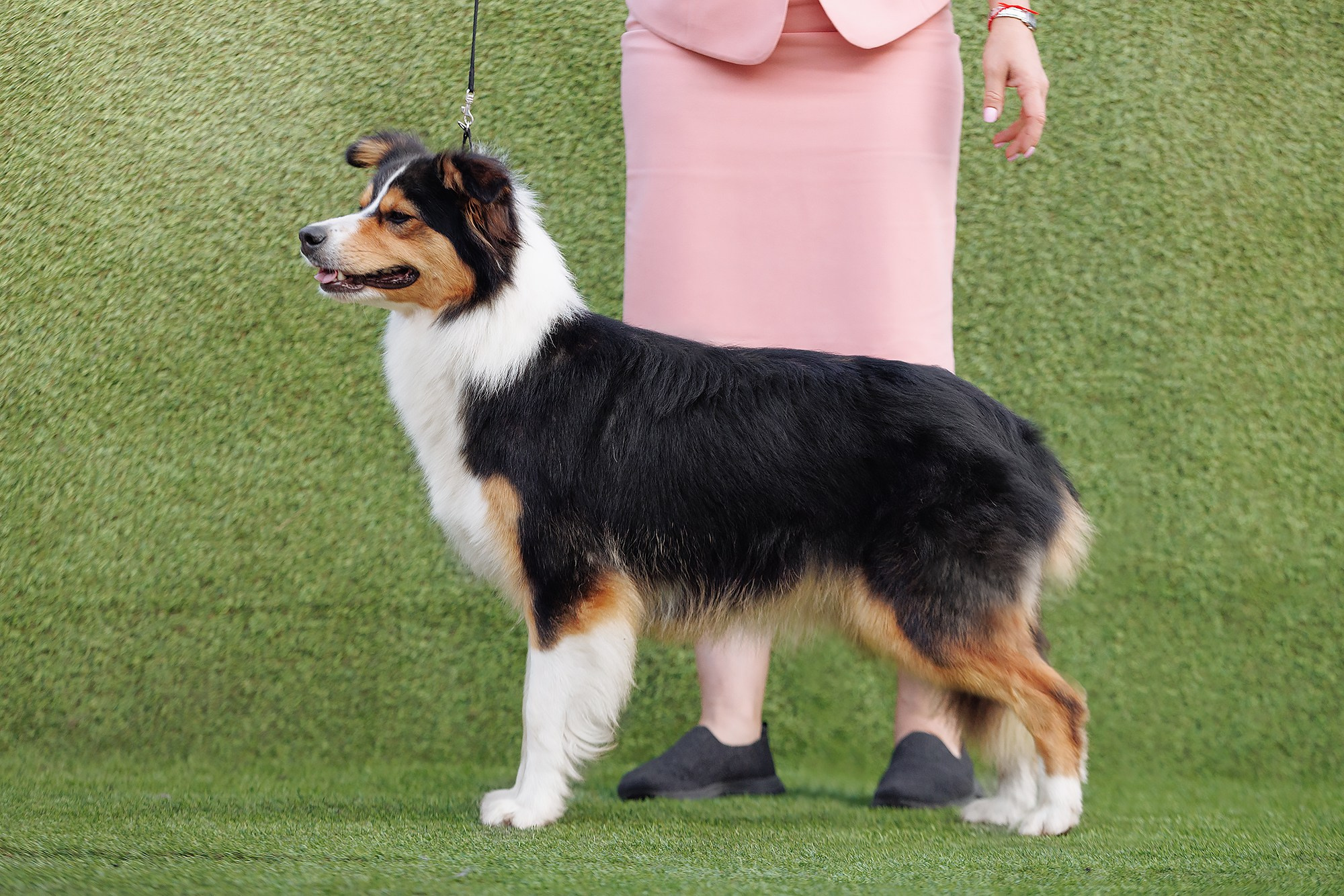 Трава у дома. О нас