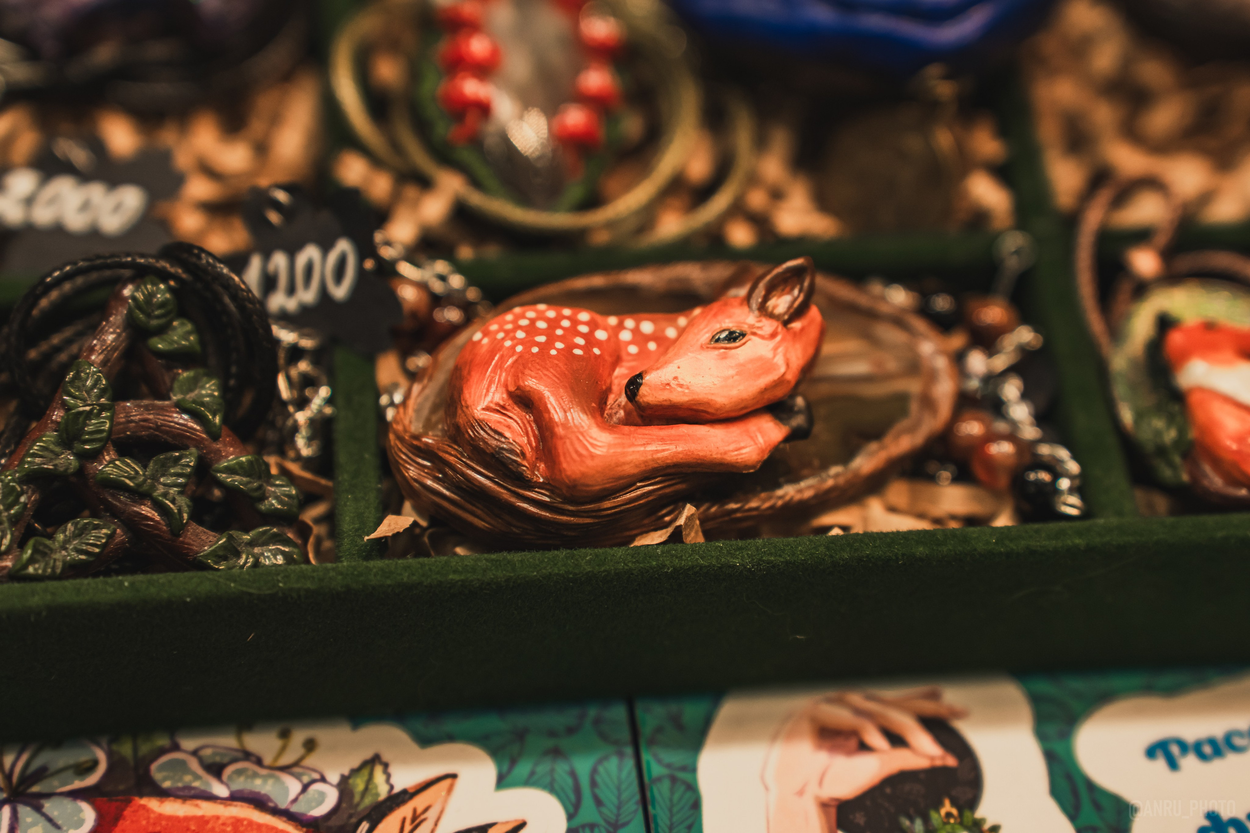 Fox Family fest. Репортажный фотограф Анастасия Рубцова