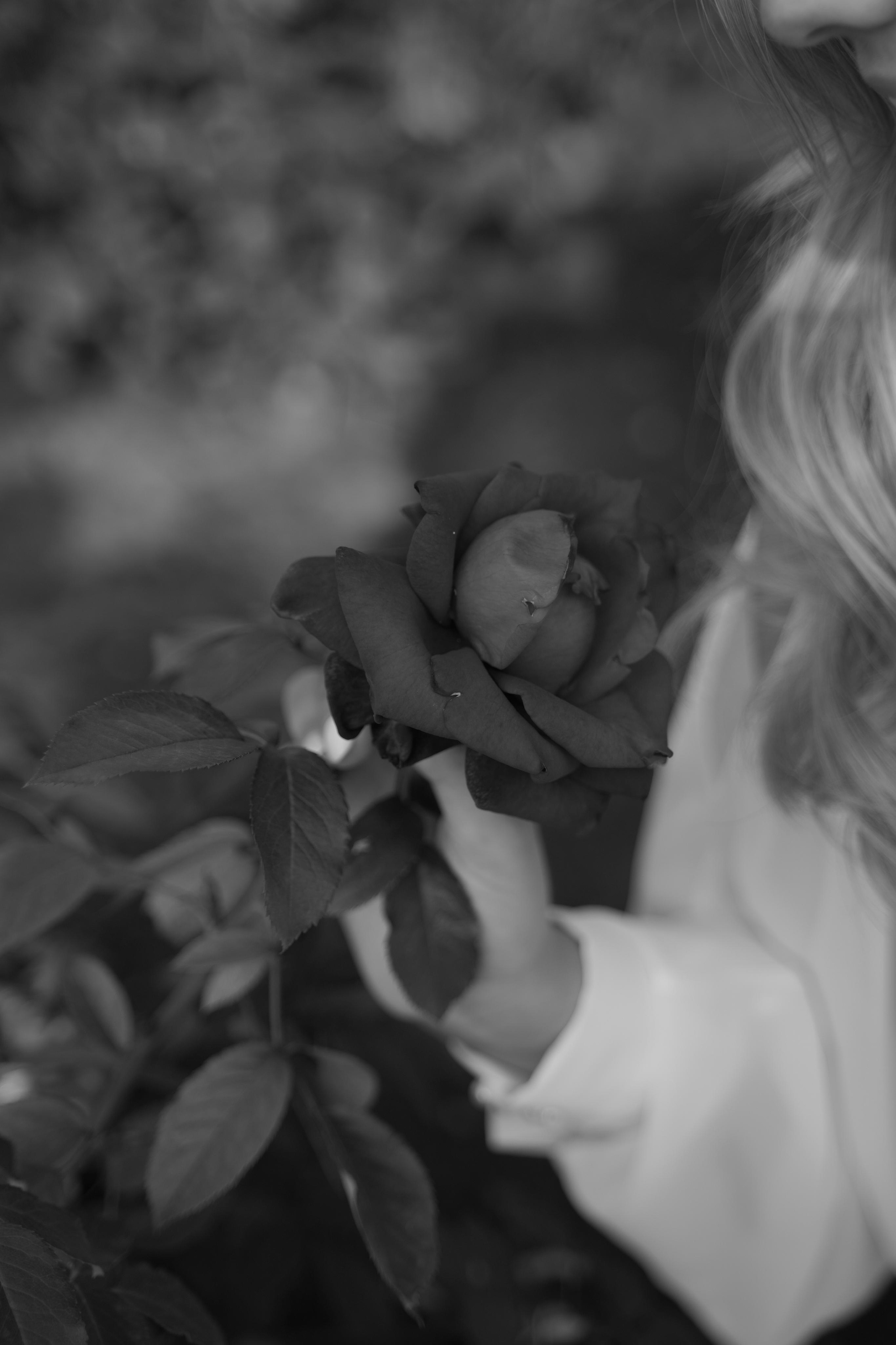 Алина и Иван. Свадебный фотограф Марина Попова