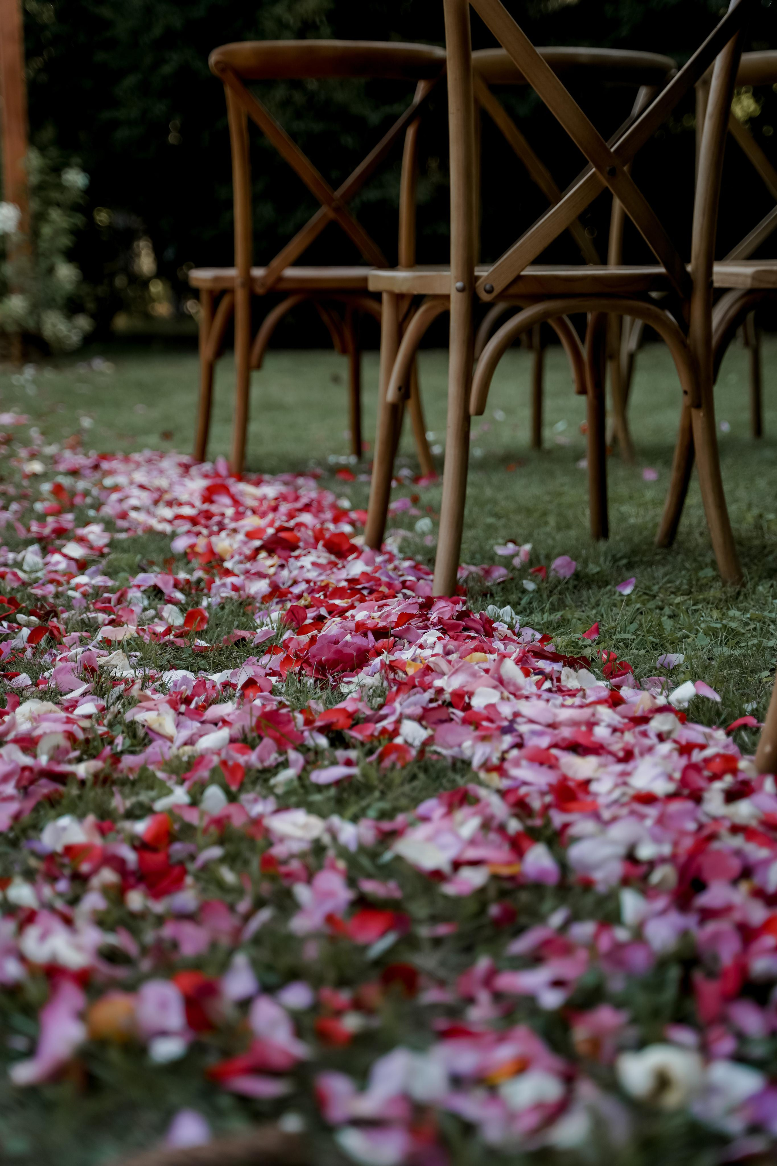 Инесса и Илья. Свадебный фотограф Марина Попова