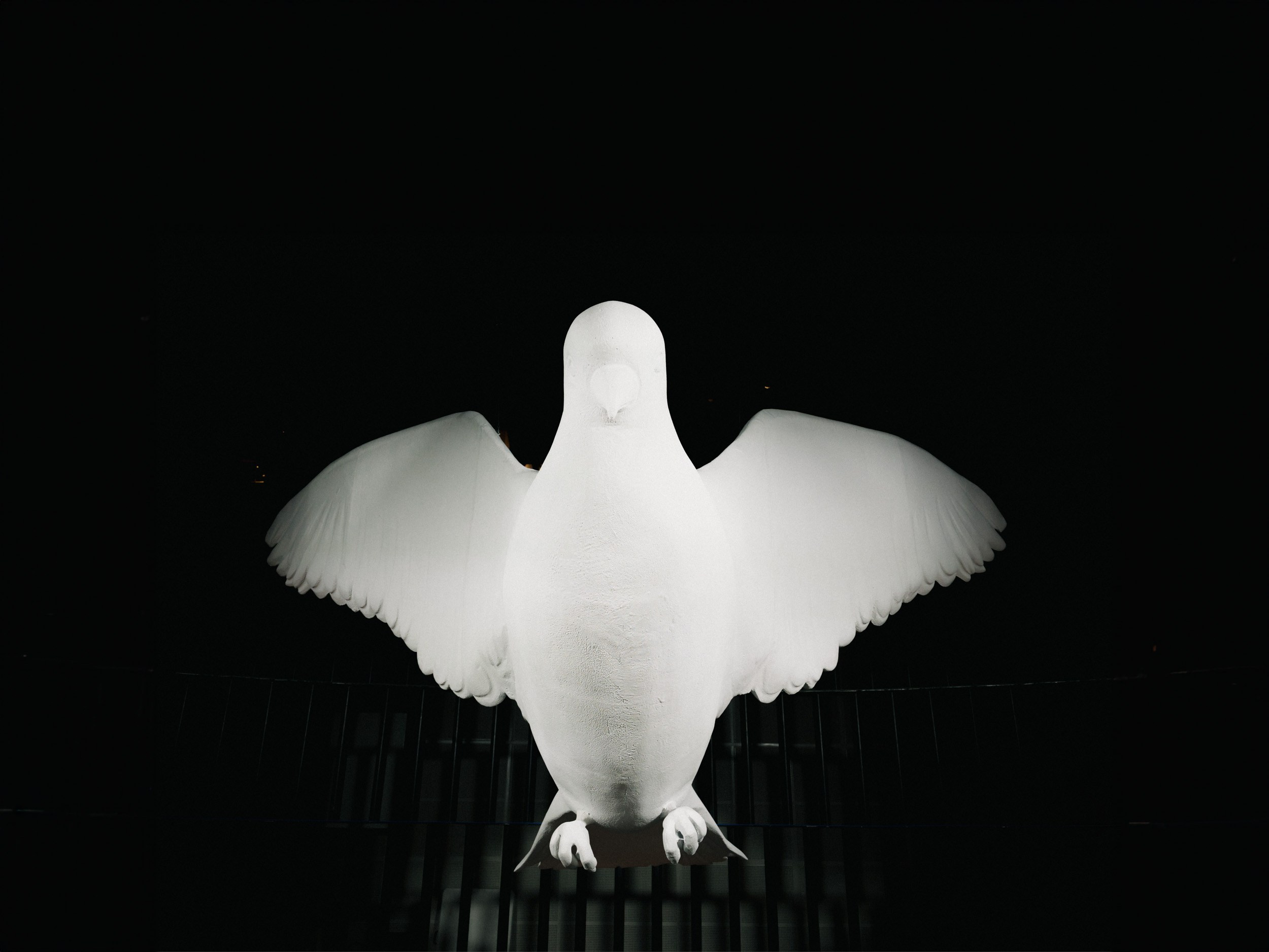 WEDDING AWARDS RUSSIA 2024. Свадебный фотограф Москва Ирина Писарева