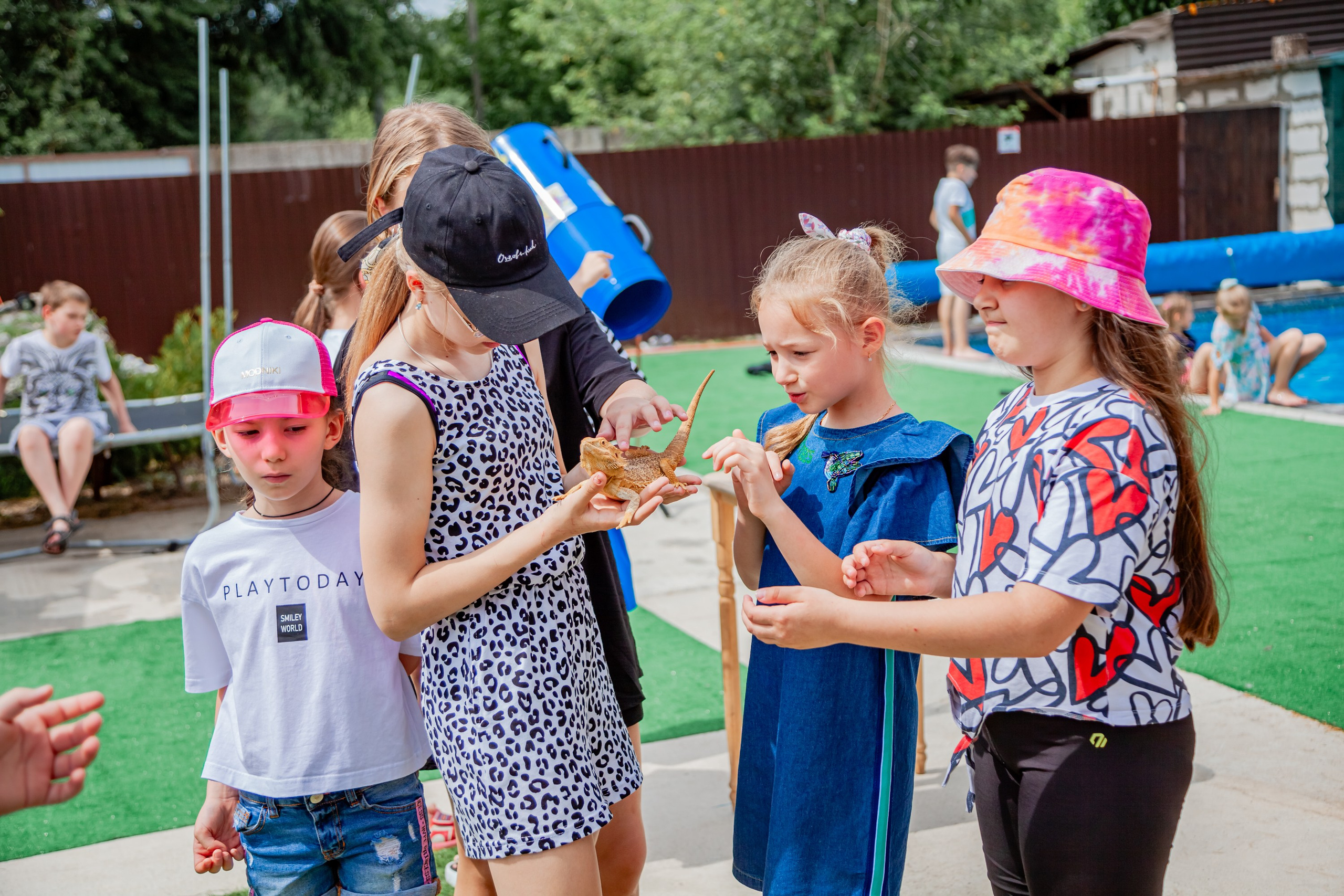 Выпуск 20.06.24. Свадебный и семейный фотограф в Армавире