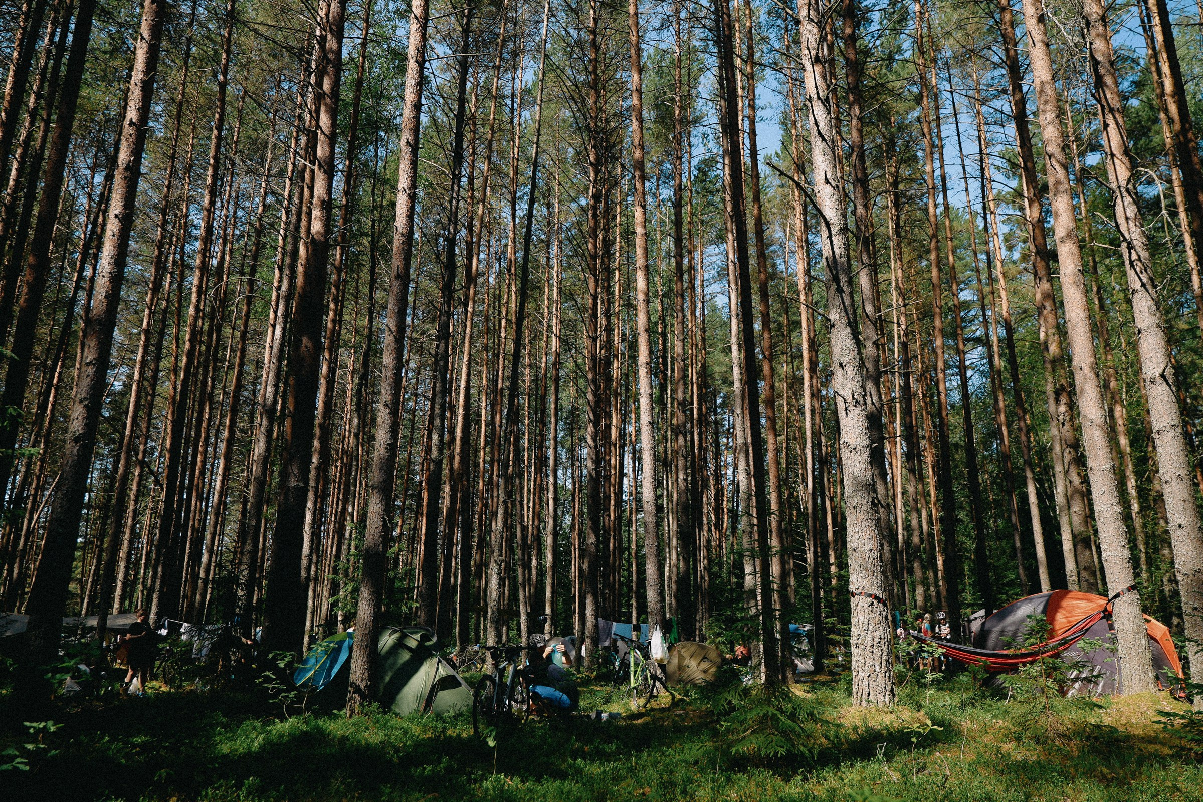 /РЕПОРТАЖ/ Велогонка ЦАРЬ-ГРЕЙДЕР 2. 2024. Свадебный фотограф Великий Новгород Станислав Кособудский