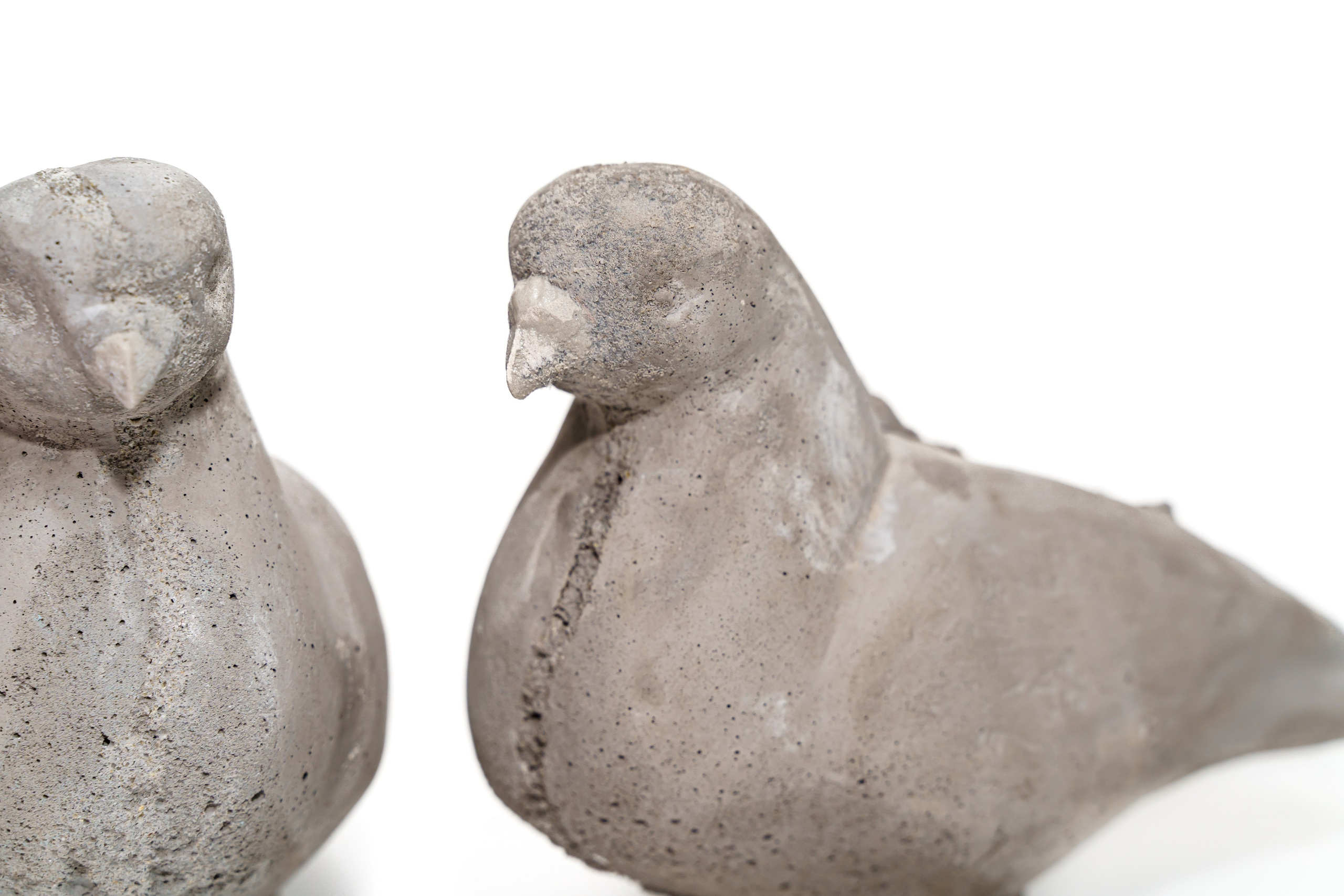 Искусство. Твой фотограф Алина Кочергина