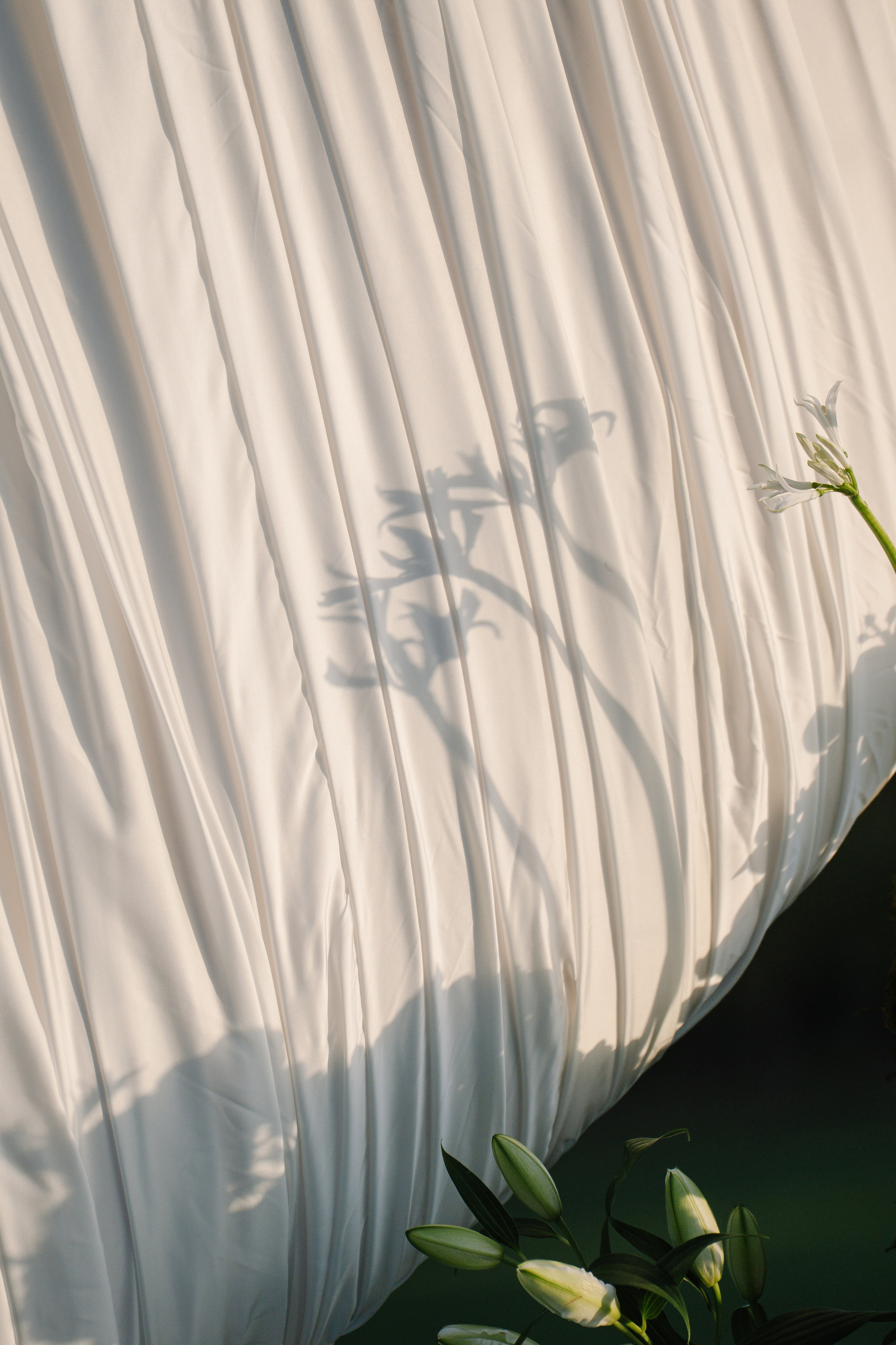День Мечты. Свадебный и семейный фотограф в Анапе Елена Полетаева