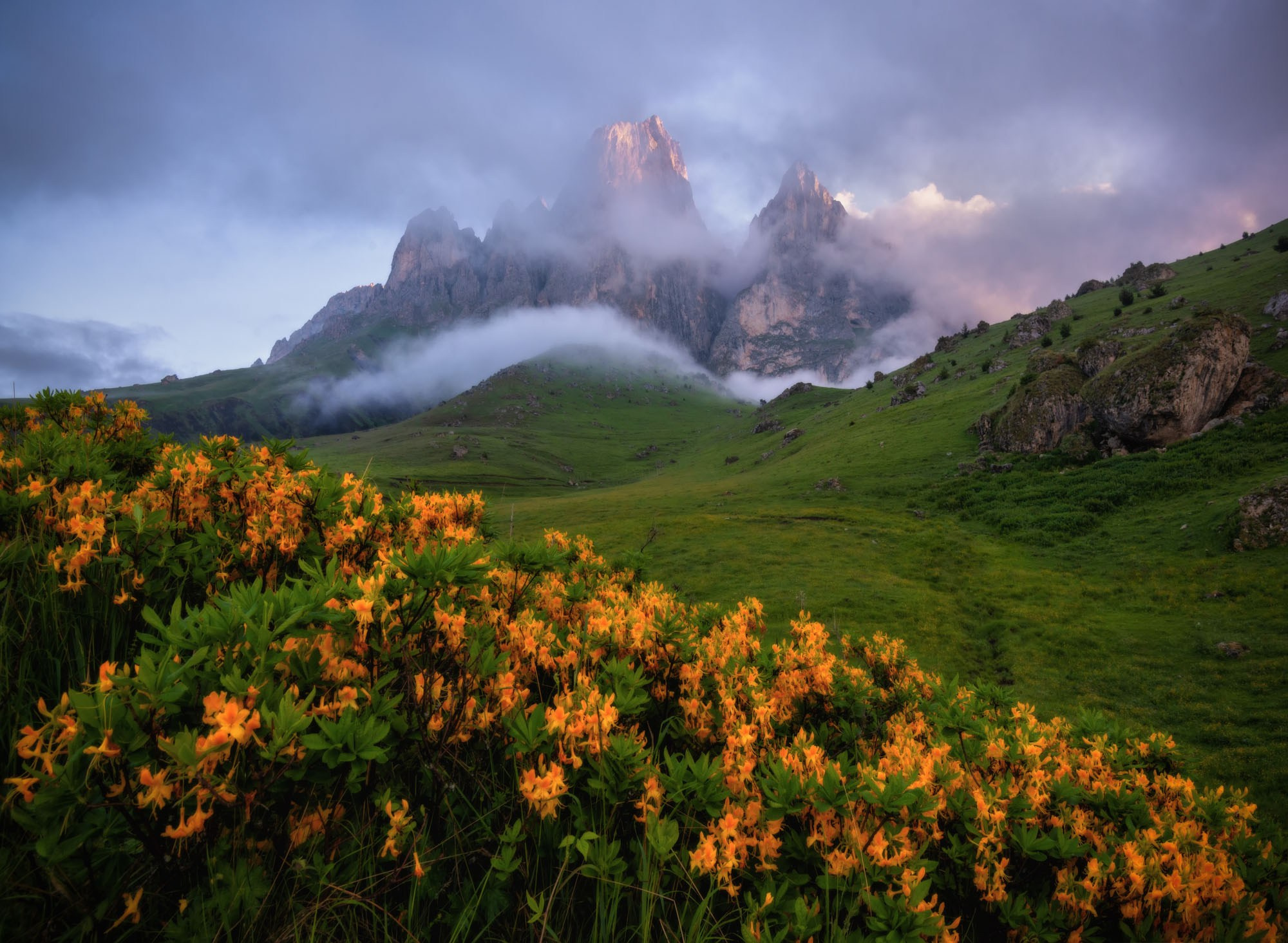 Фотографии Ингушетия