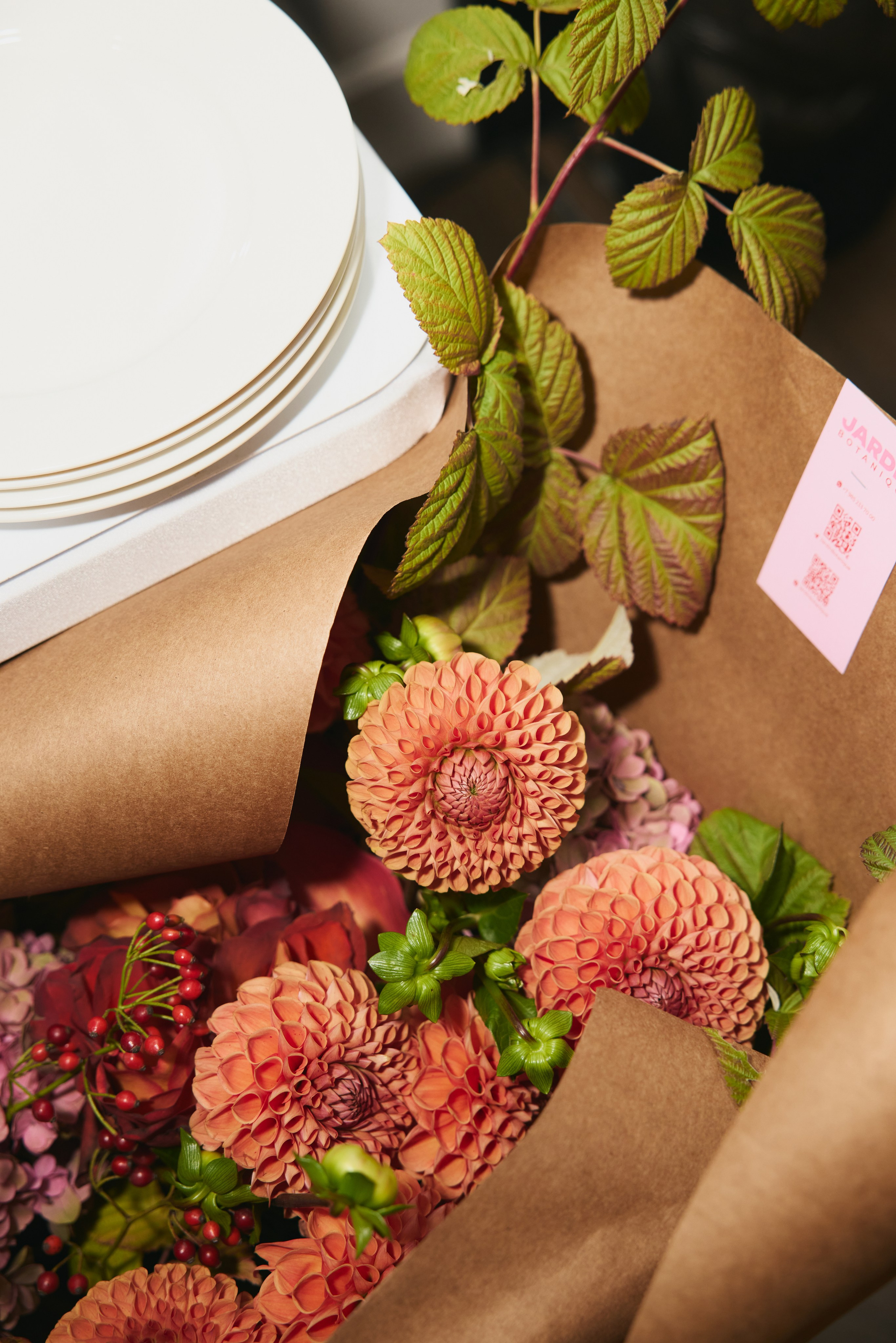 WOMAN WINGS FW 25|26 фото. Профессиональный фотограф Татьяна Евглевская