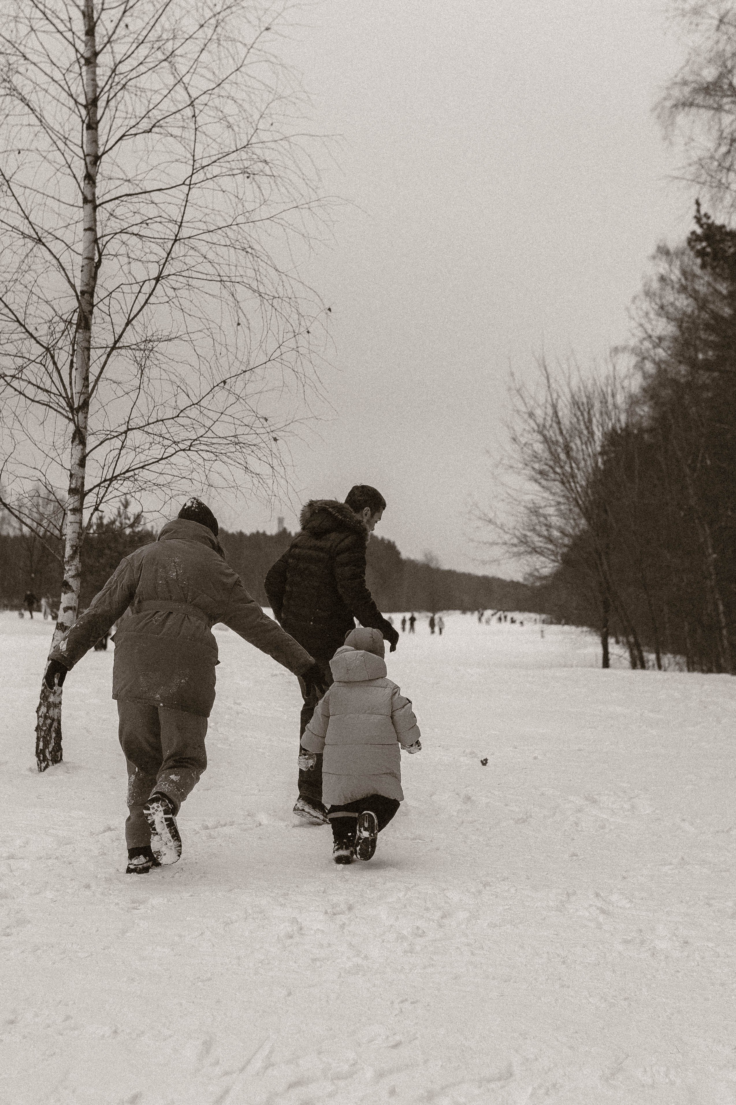 Аня, Саша и Матвей. Семейный фотограф Юлия Котова
