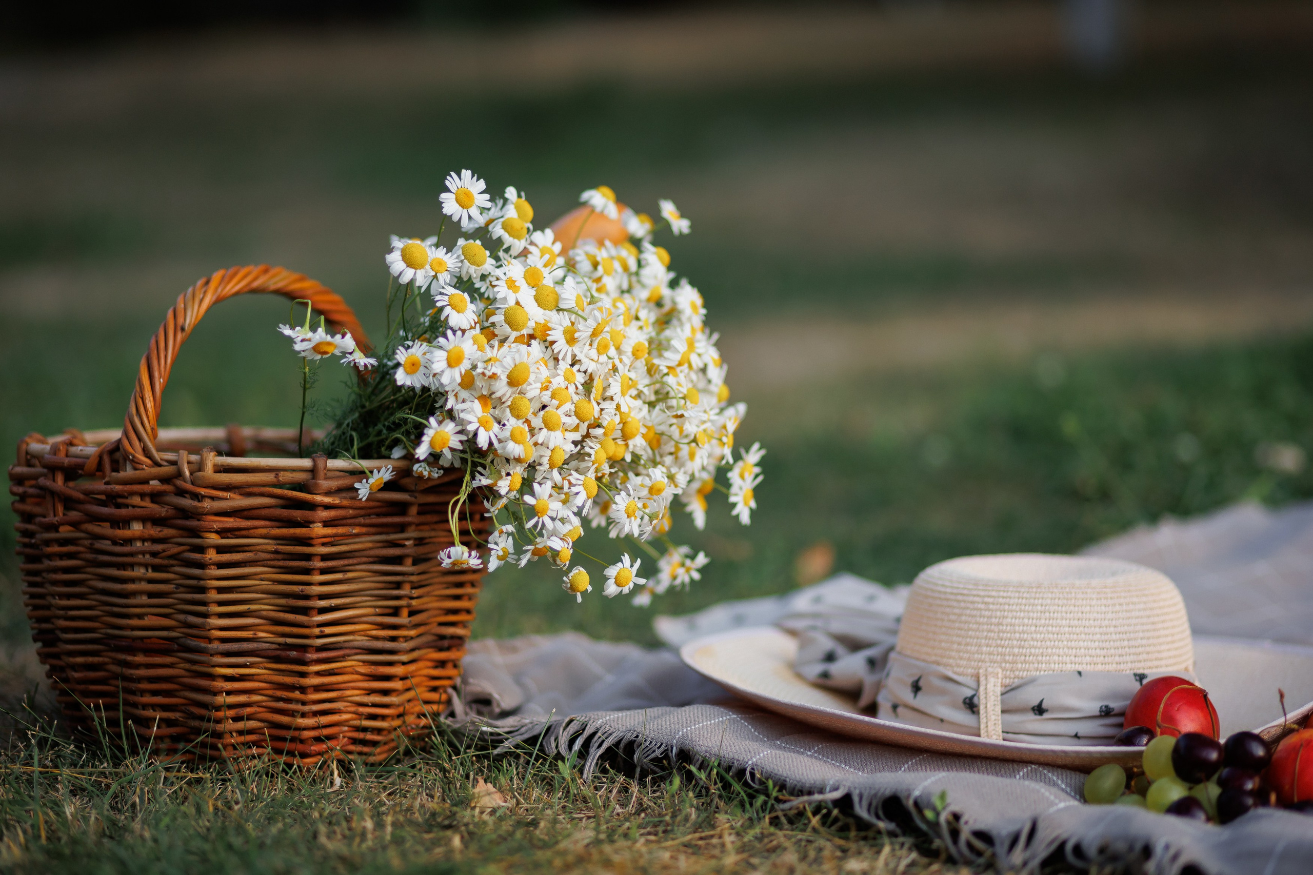 Фотосессия лавстори. Свадебный и контент фотограф в Нижнем Новгороде Владимир Пресняков