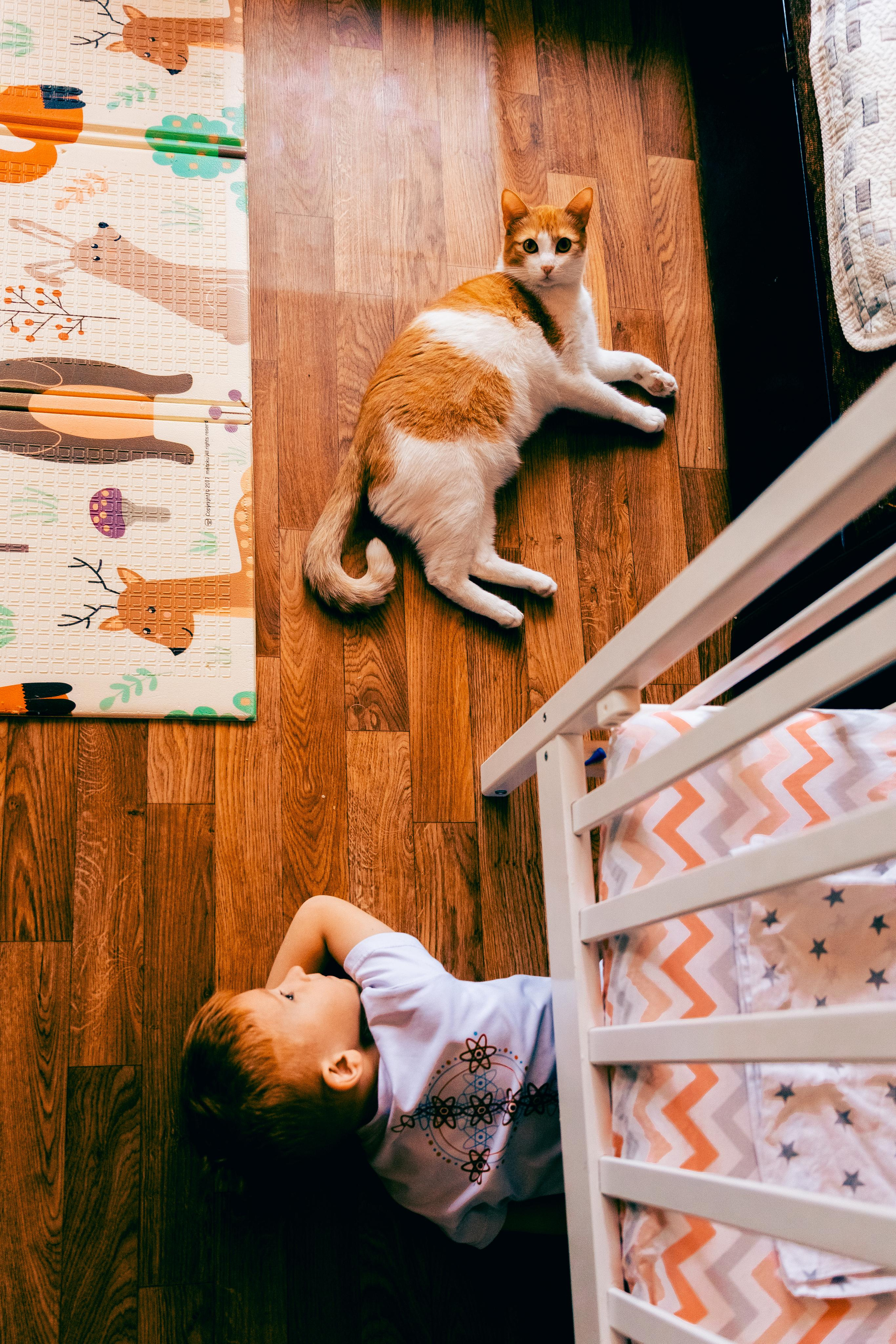 Паша Даша ребятишки и коты. Фотограф в Москве и МО Влада Обласова