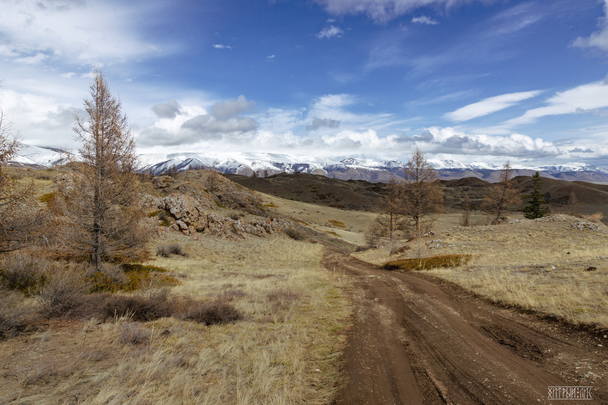 Алтай. Фотограф-путешественник Самойлов Максим «Sly Fox»