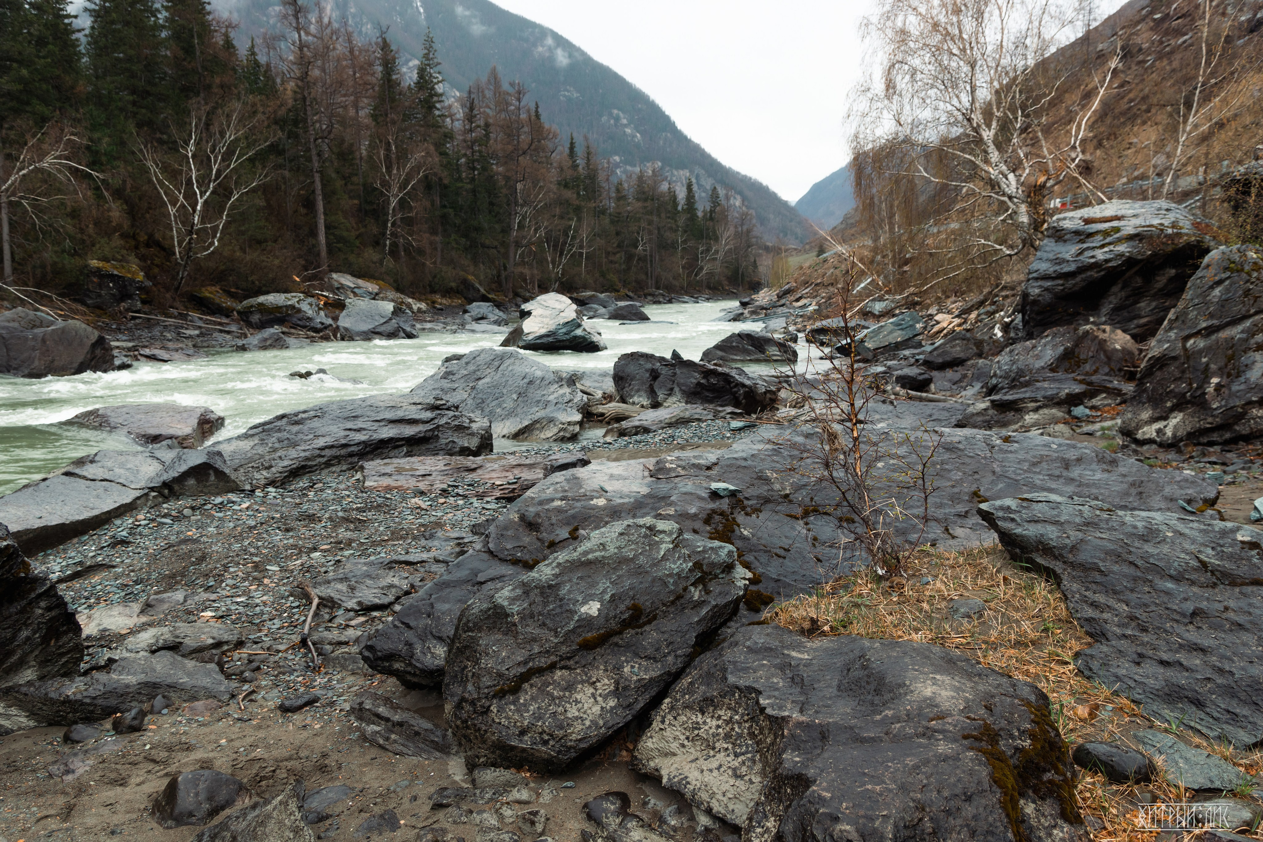 Алтай. Фотограф-путешественник Самойлов Максим «Sly Fox»