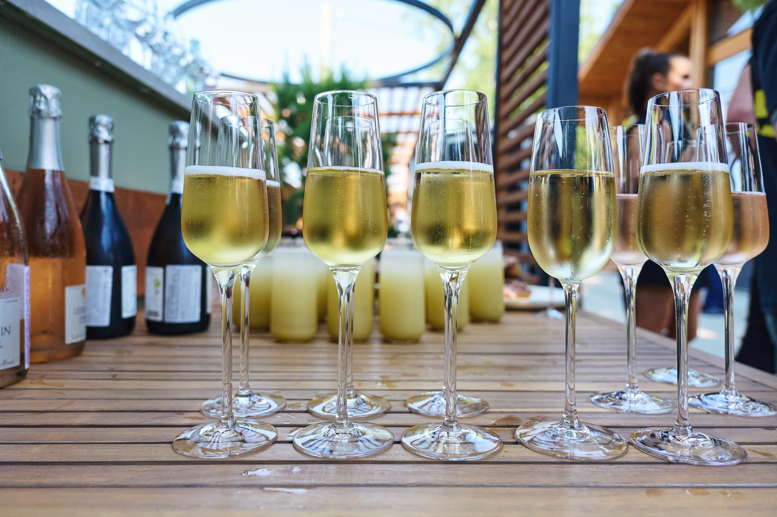 Lesnoy Village. Фотограф Опыт Качество Скорость Горный Алтай Барнаул