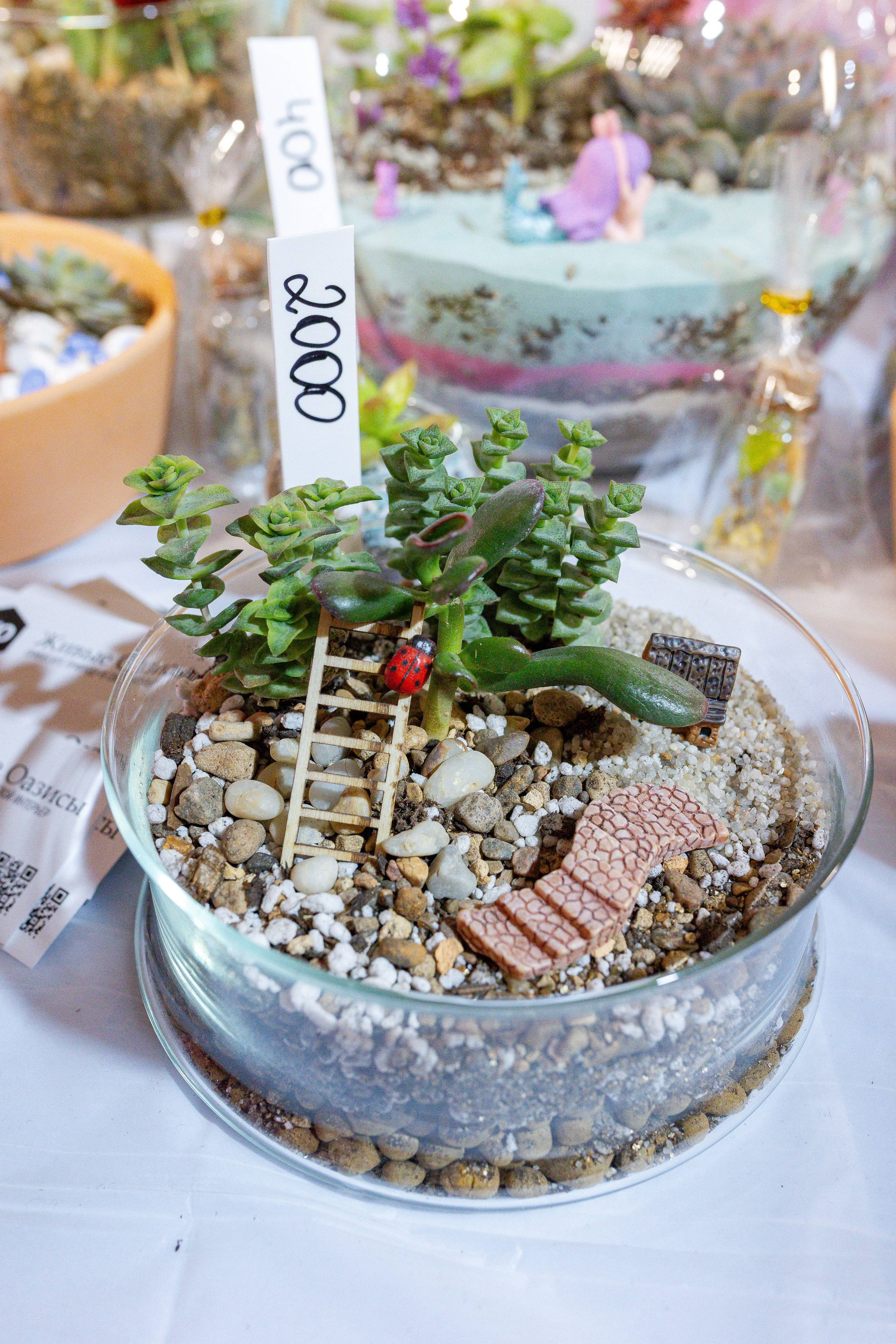 Кактус Фест. Александра Куликова фотограф, Москва