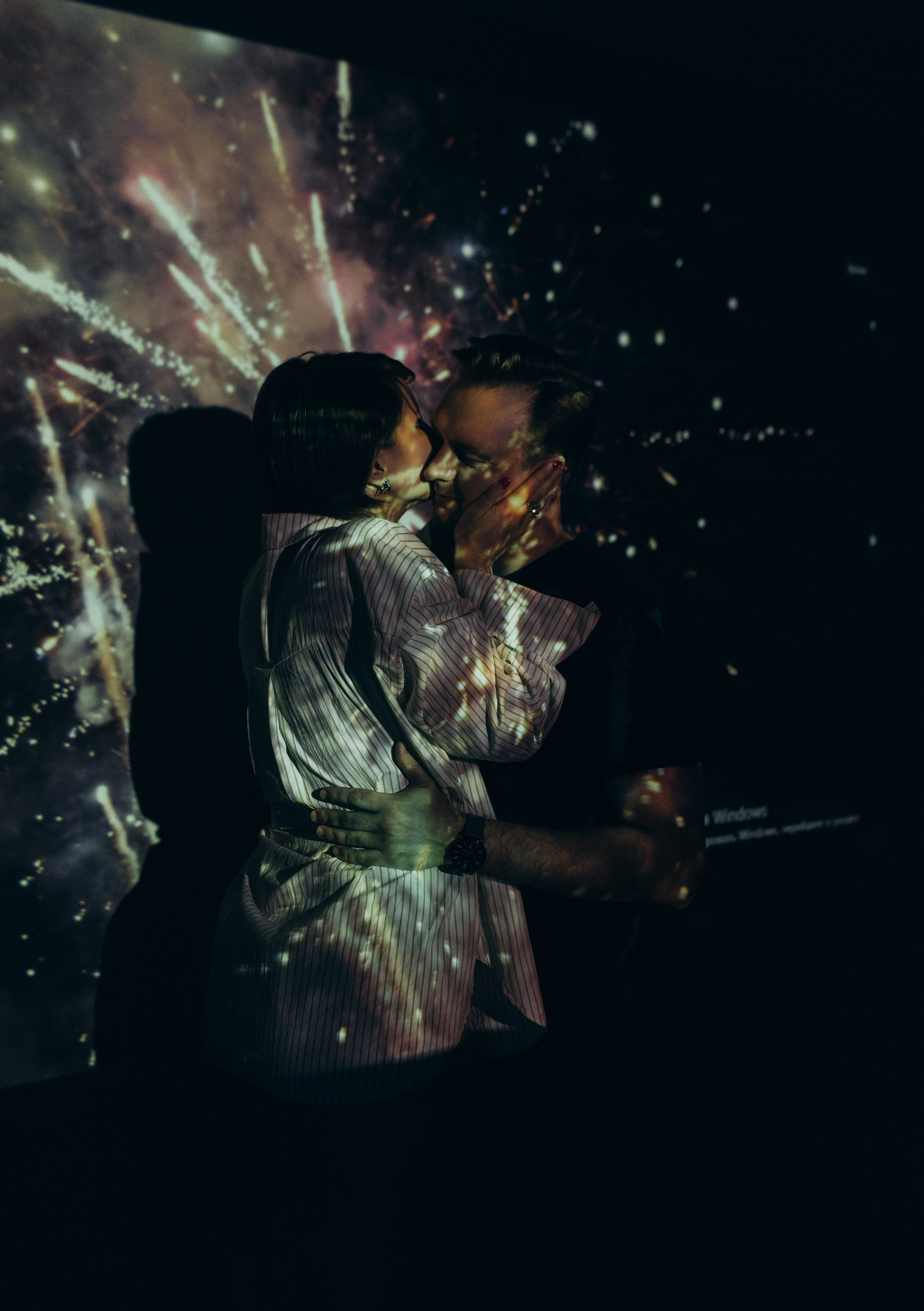 Домашняя история. Meryfotoidea