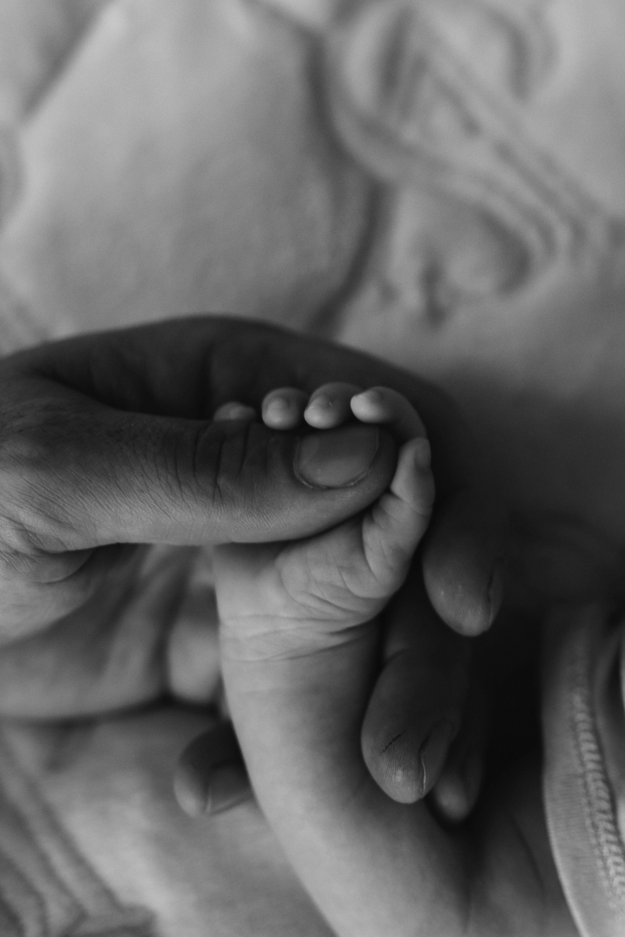 Диане 1 месяц. Семейный фотограф в Красноярске