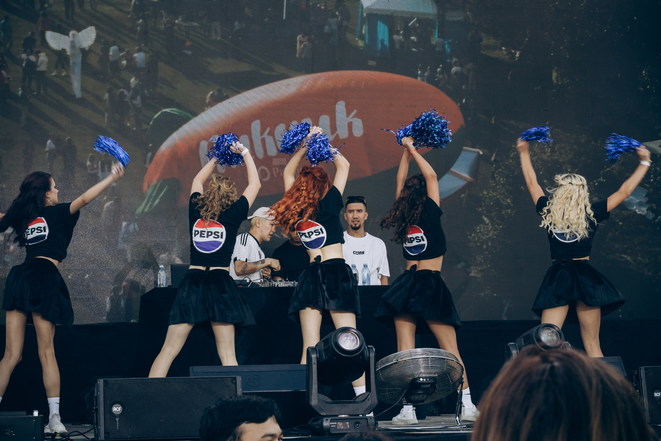 Picnic by partners. Главная