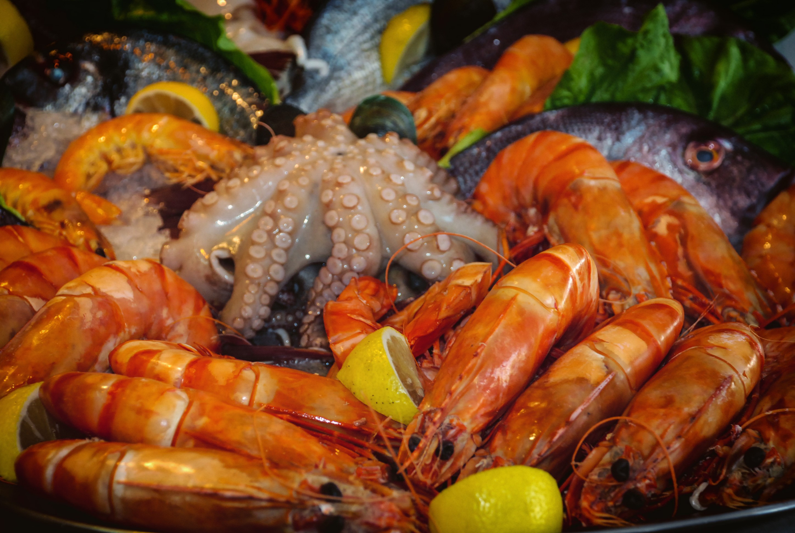 Vibe. Фотограф Милена Яновска