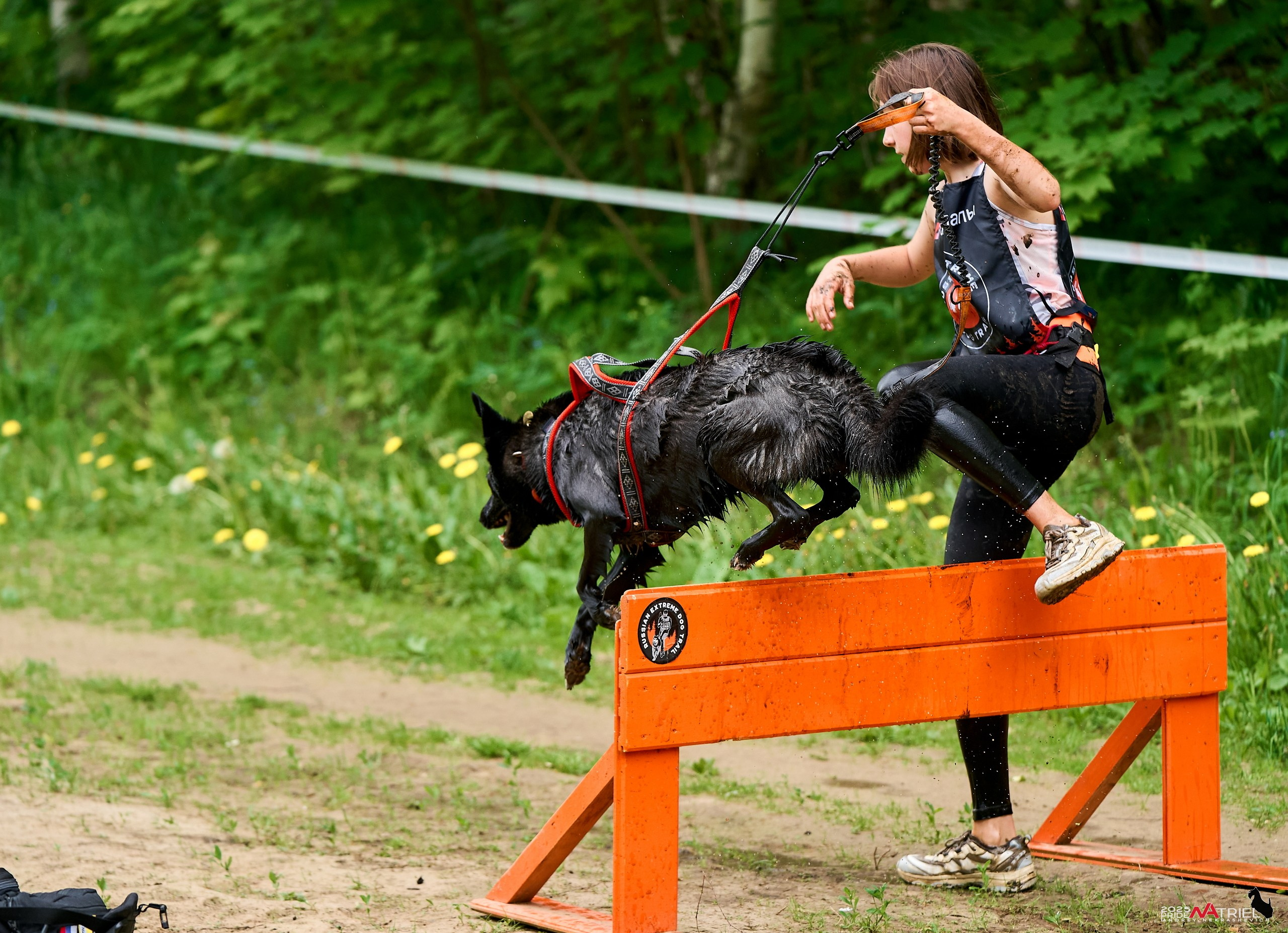 Russian Extreme Dog Trail — 2025