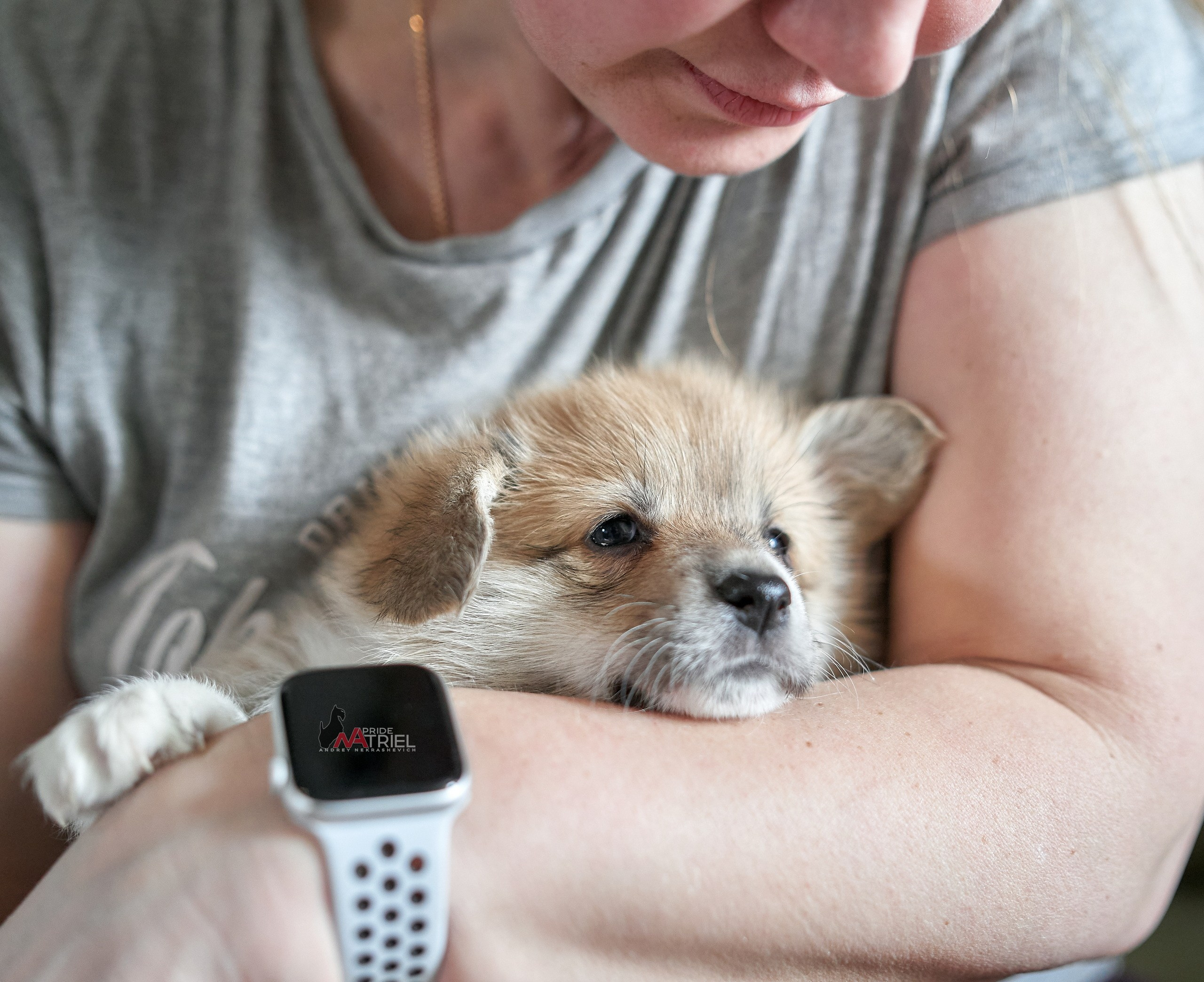 Щенки с людьми — галерея NATRIEL