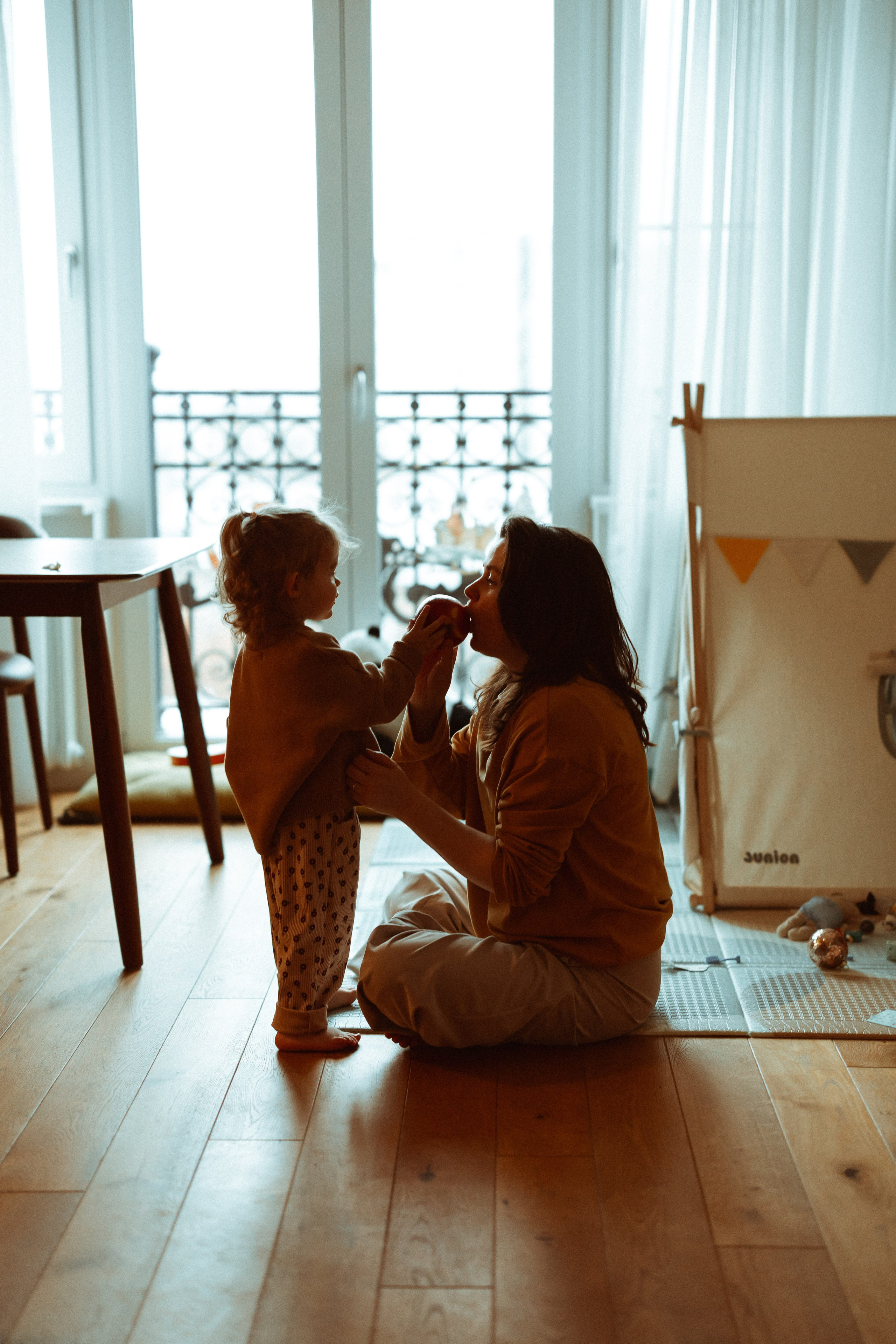 Новогодний переполох. Евгения Пелипас