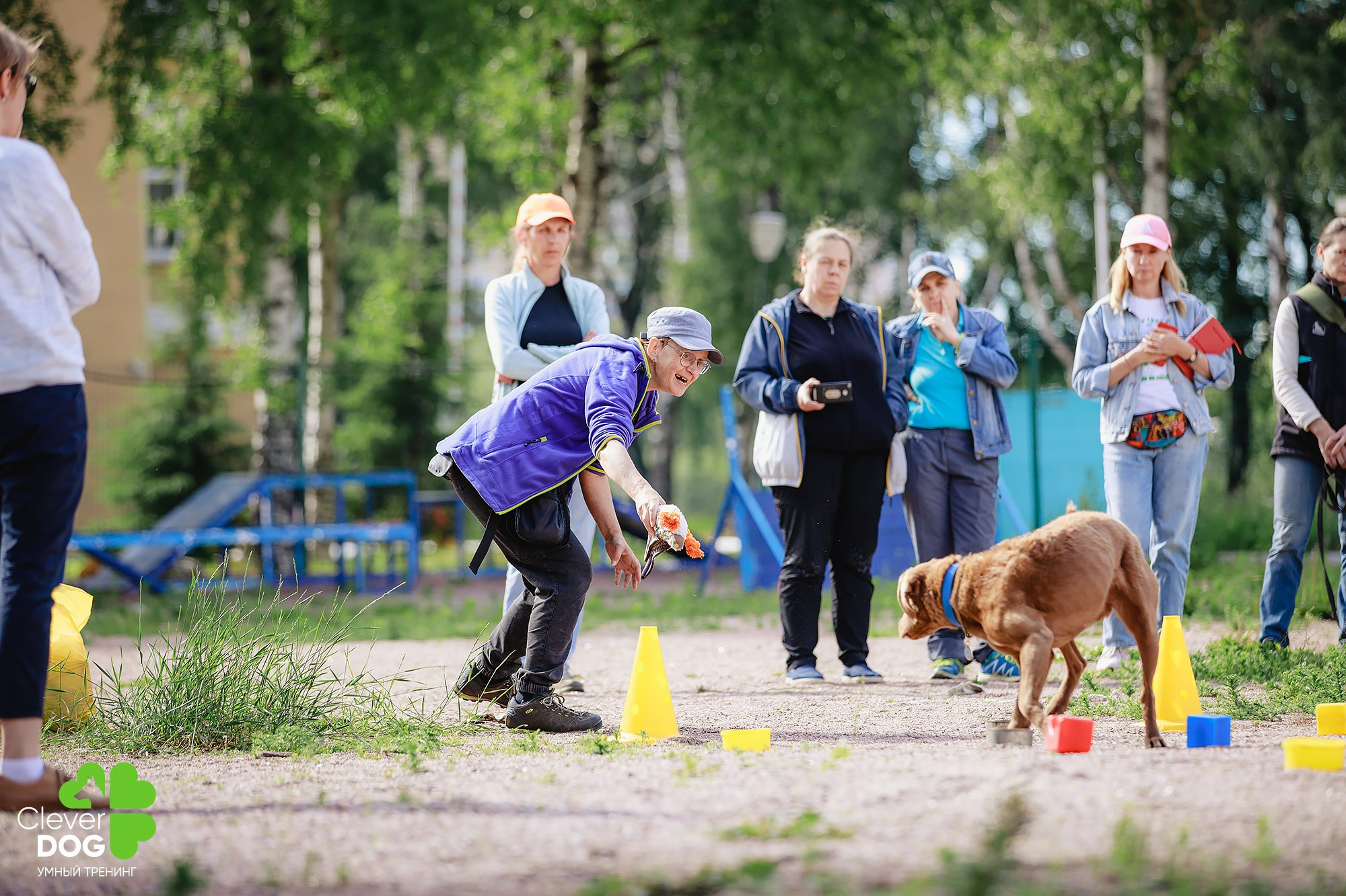 Семинар по поиску запаха с Иваном Ломовым, организатор CleverDog, СПб. Фотограф-анималист Mary Mart — Москва, Питер