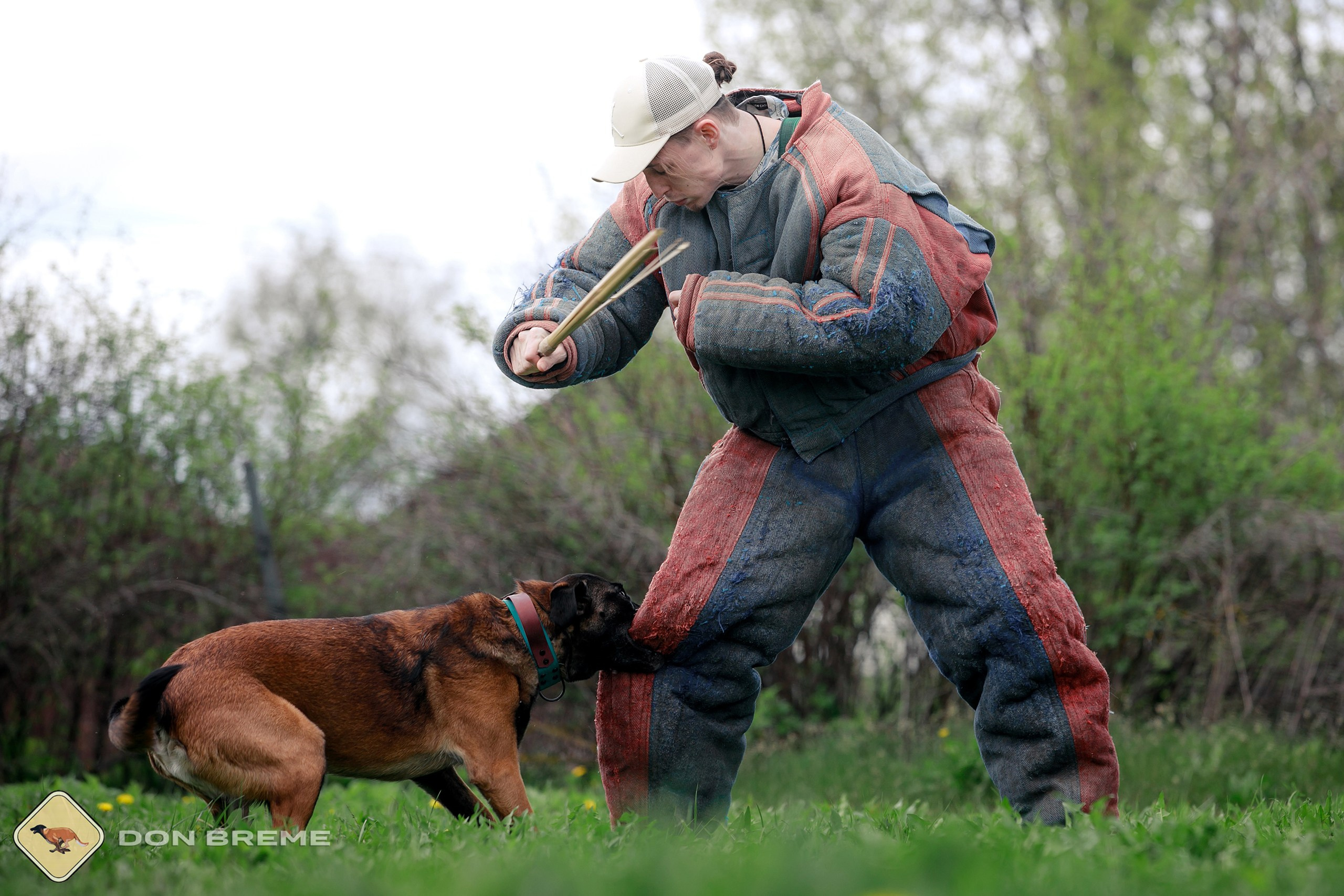Семинар для фигурантов, день 2. Фотограф-анималист Mary Mart — Москва, Питер