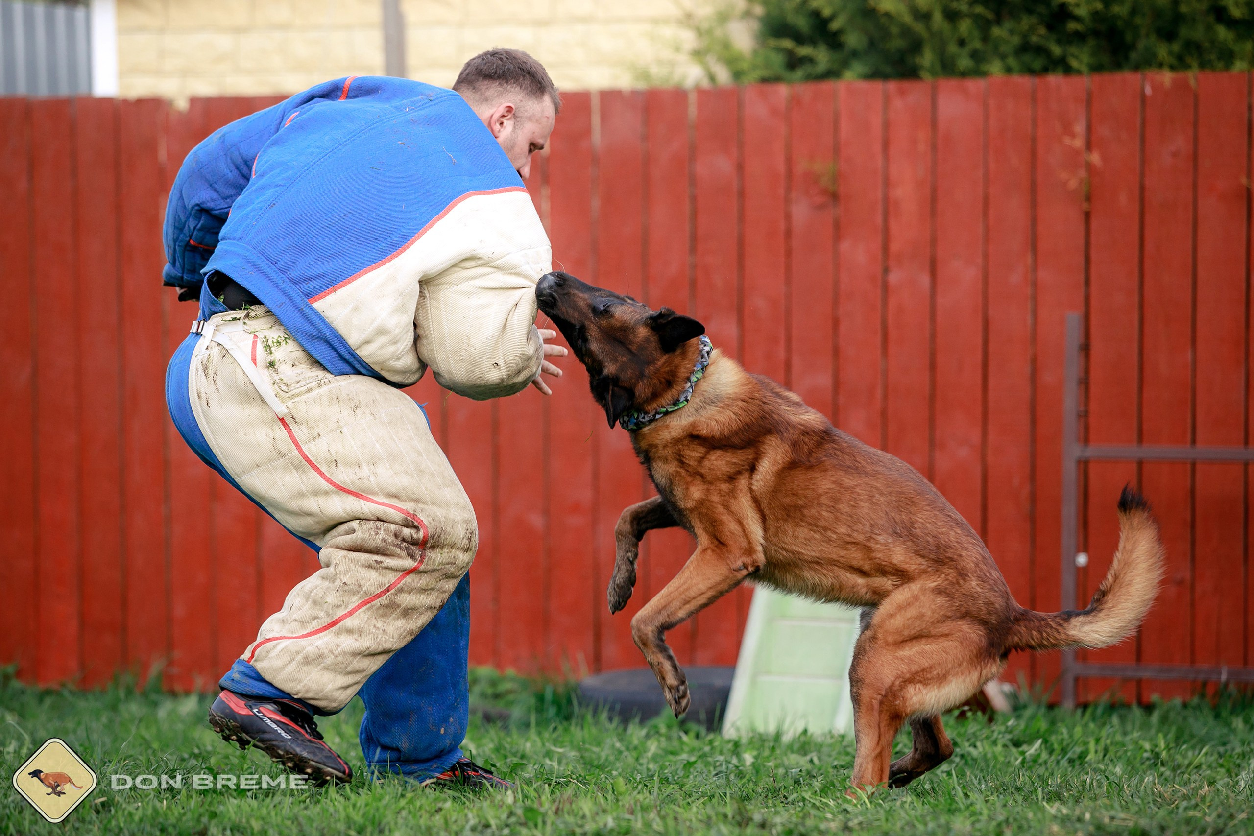 Семинар для фигурантов, день 2. Фотограф-анималист Mary Mart — Москва, Питер