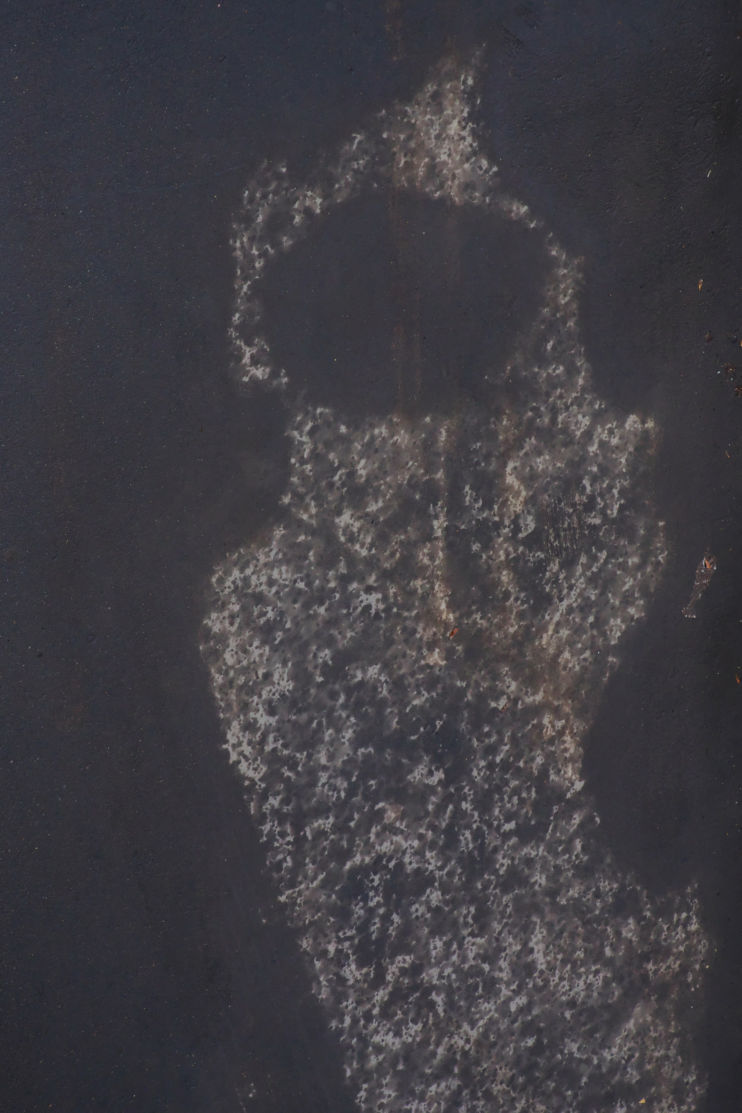 Пасмурный день 🌧️. Миша Печёнкин | фотография