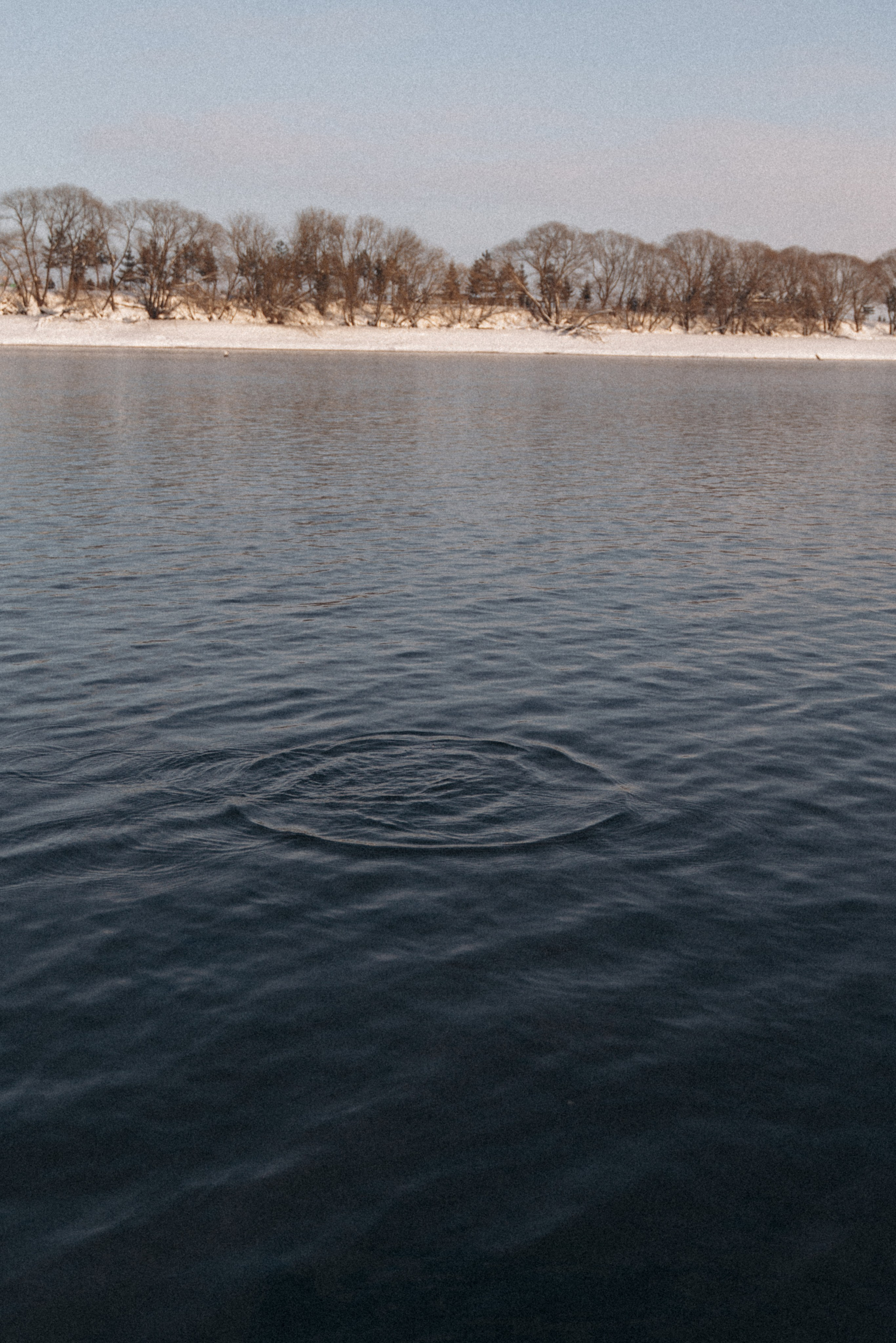 Одним зимним днем…🤍. FotoTanya. Раменское/Жуковский/Бронницы