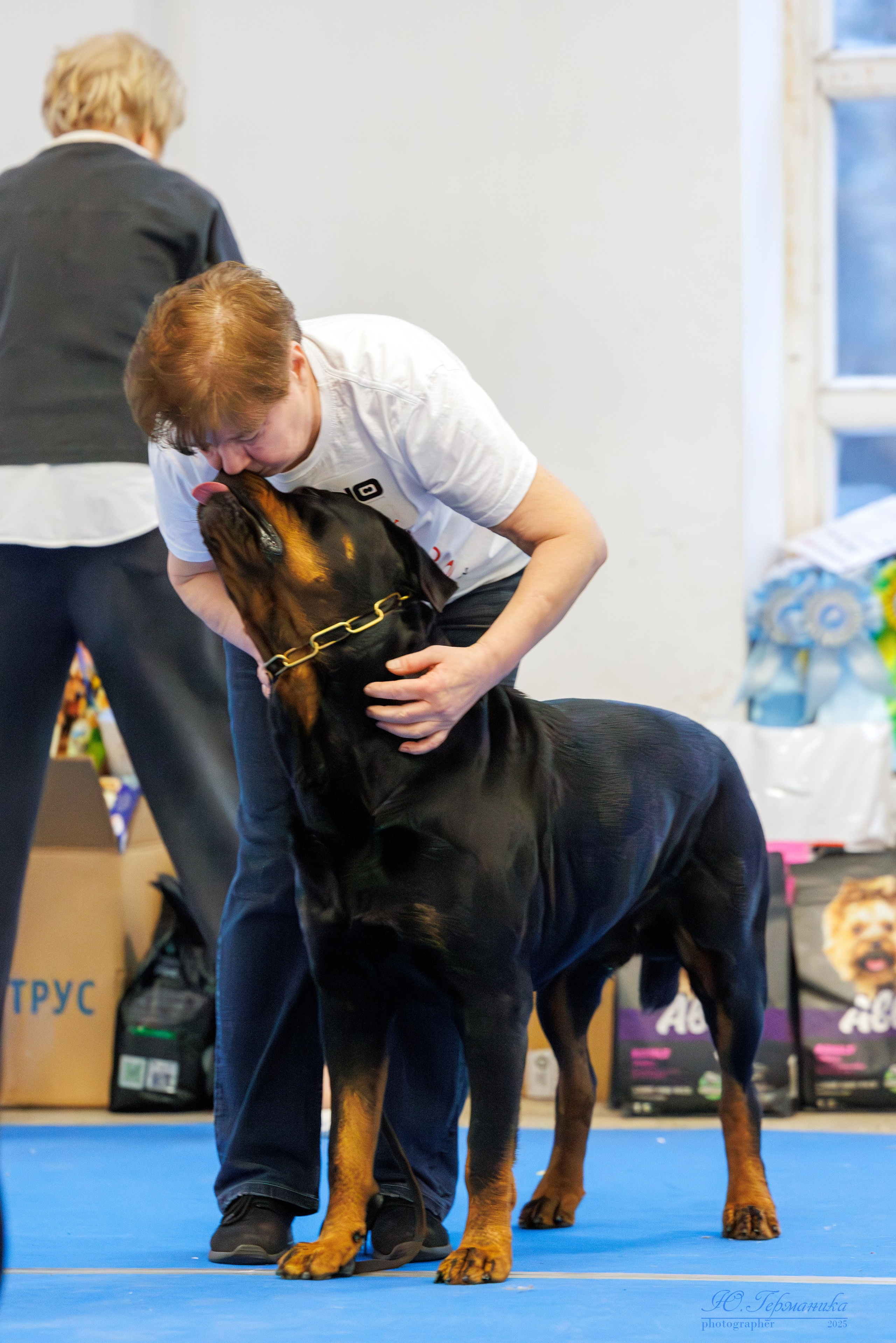 Питер ротвейлеры 18.01,Крокус 19.01.2025. Фотограф-анималист Юлия Германика