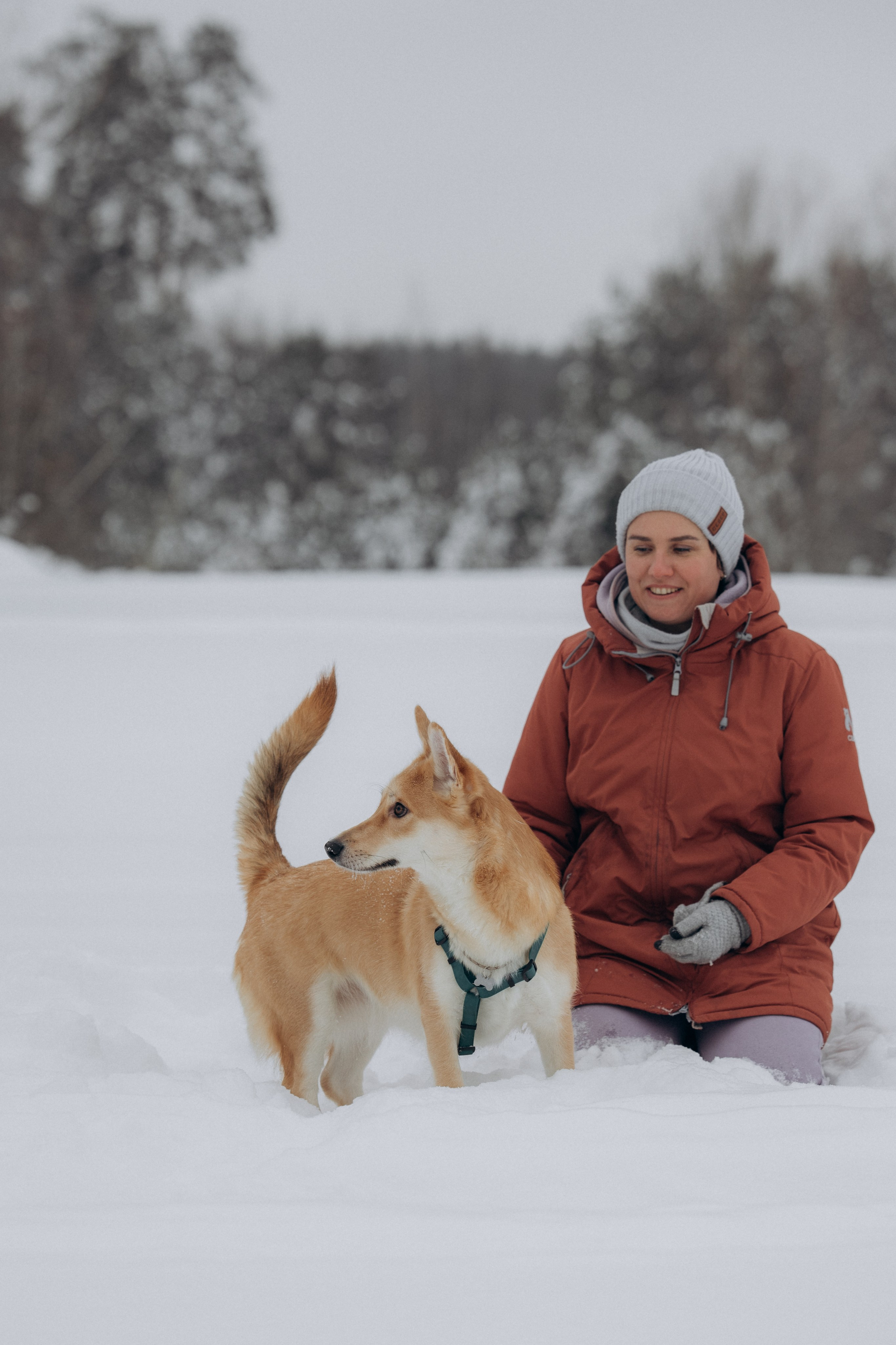 Прогулка на озере зимой. Фотограф анималист в Казани Алина Сулейманова. Фотограф животных