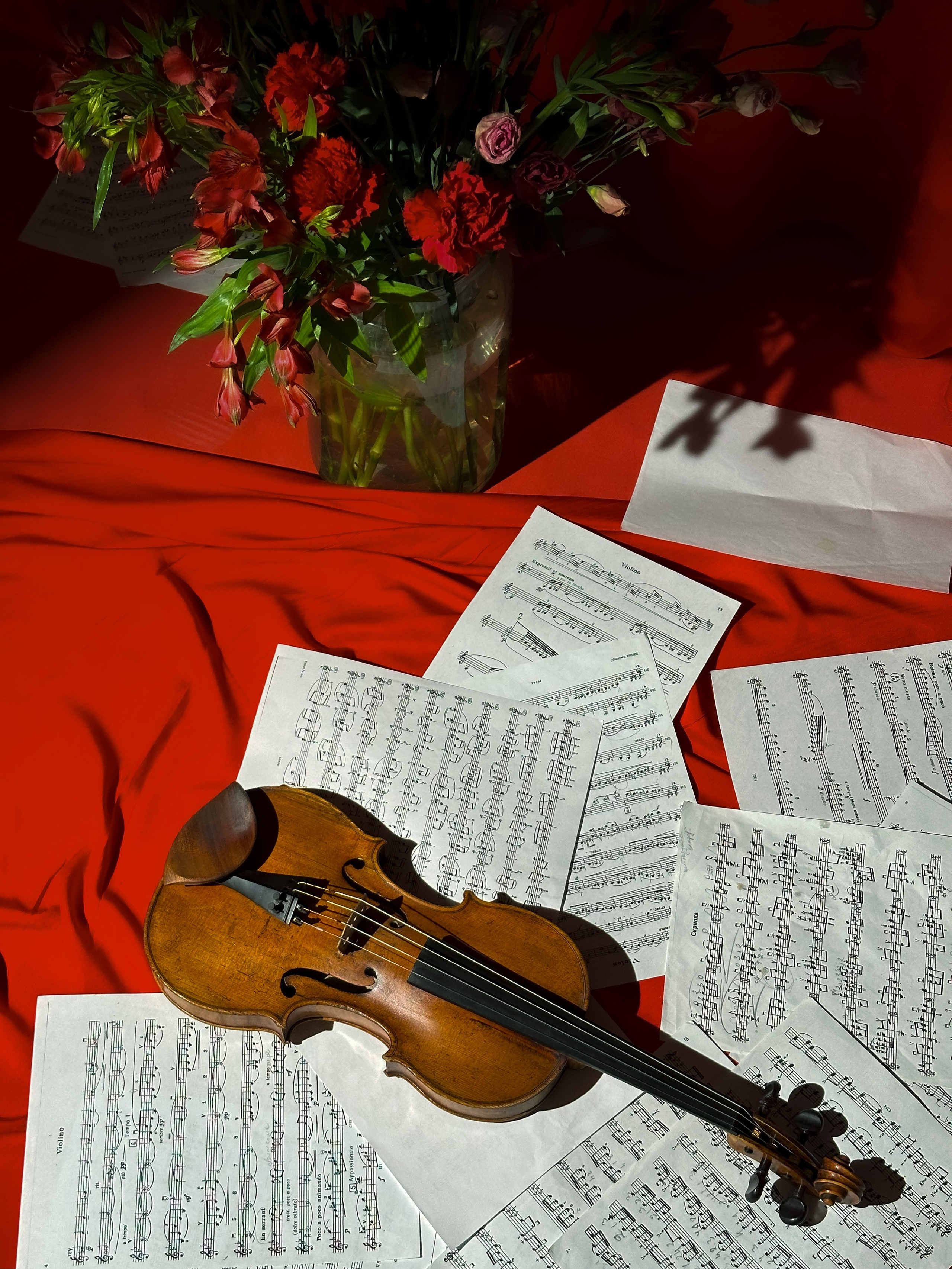 Обучение и воршопы. Фотограф, мобилограф Ростов-на-Дону