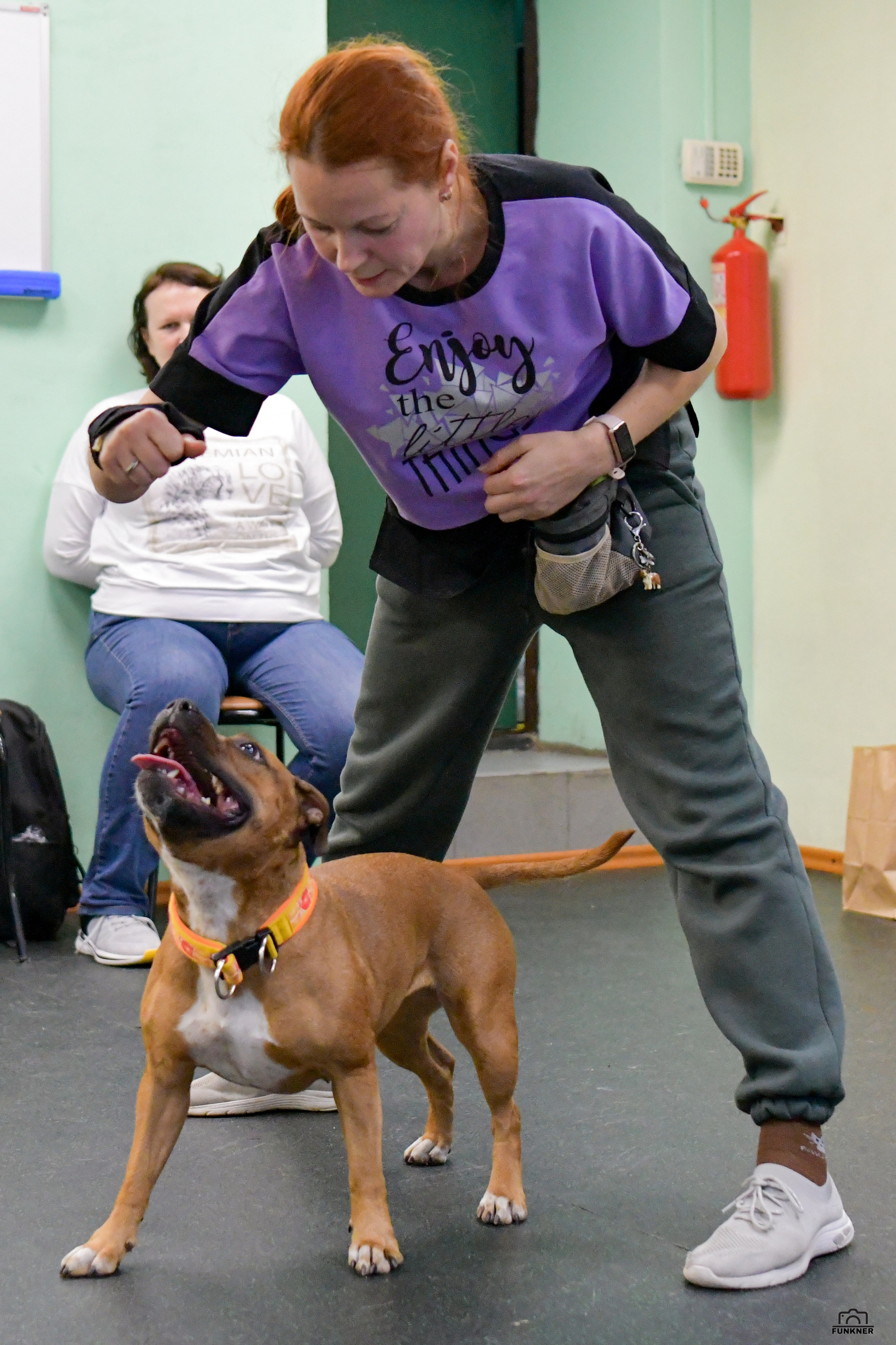Кинологический клуб «Бодрый хвост». Свой взгляд через объектив