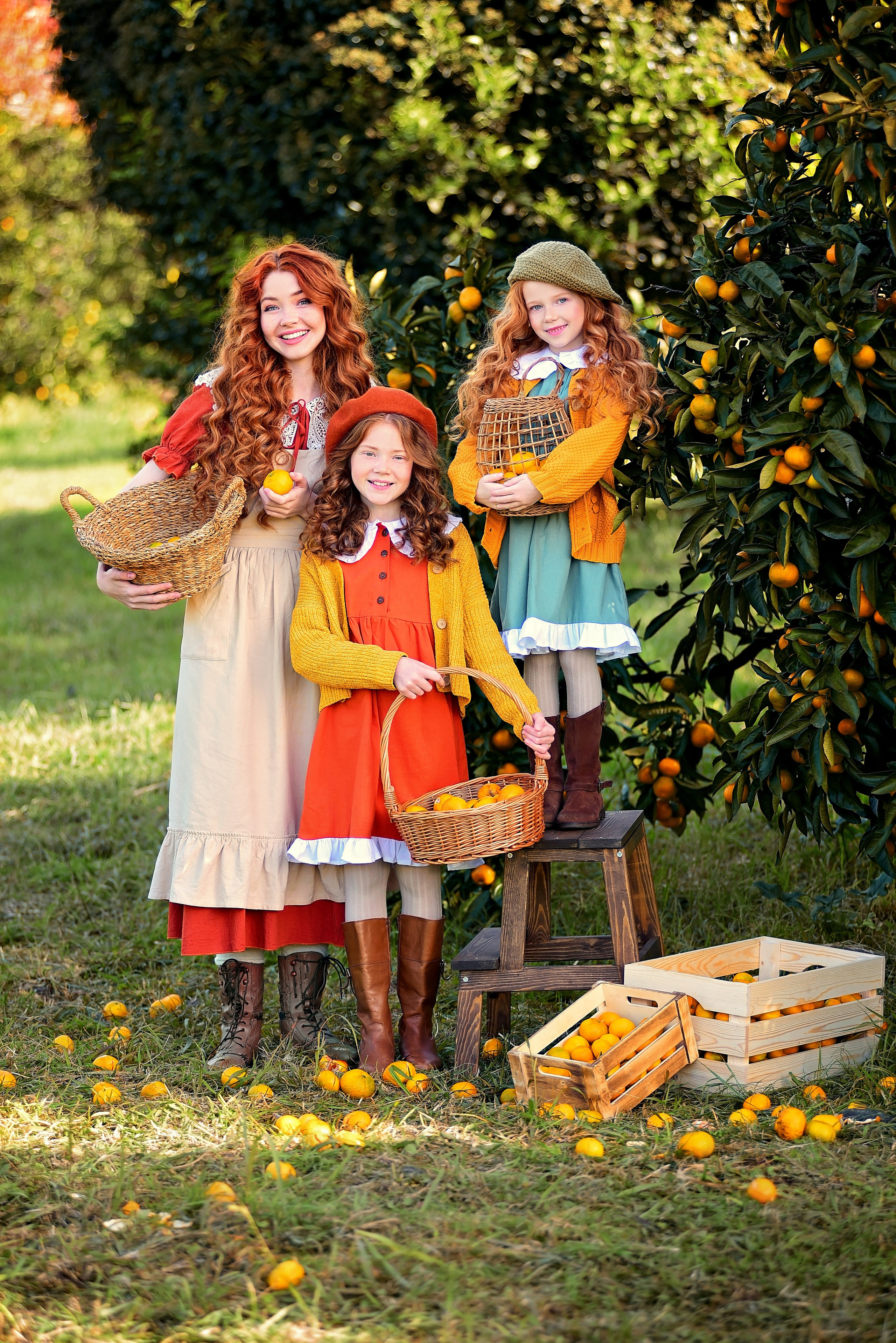 Мандарины. Главная