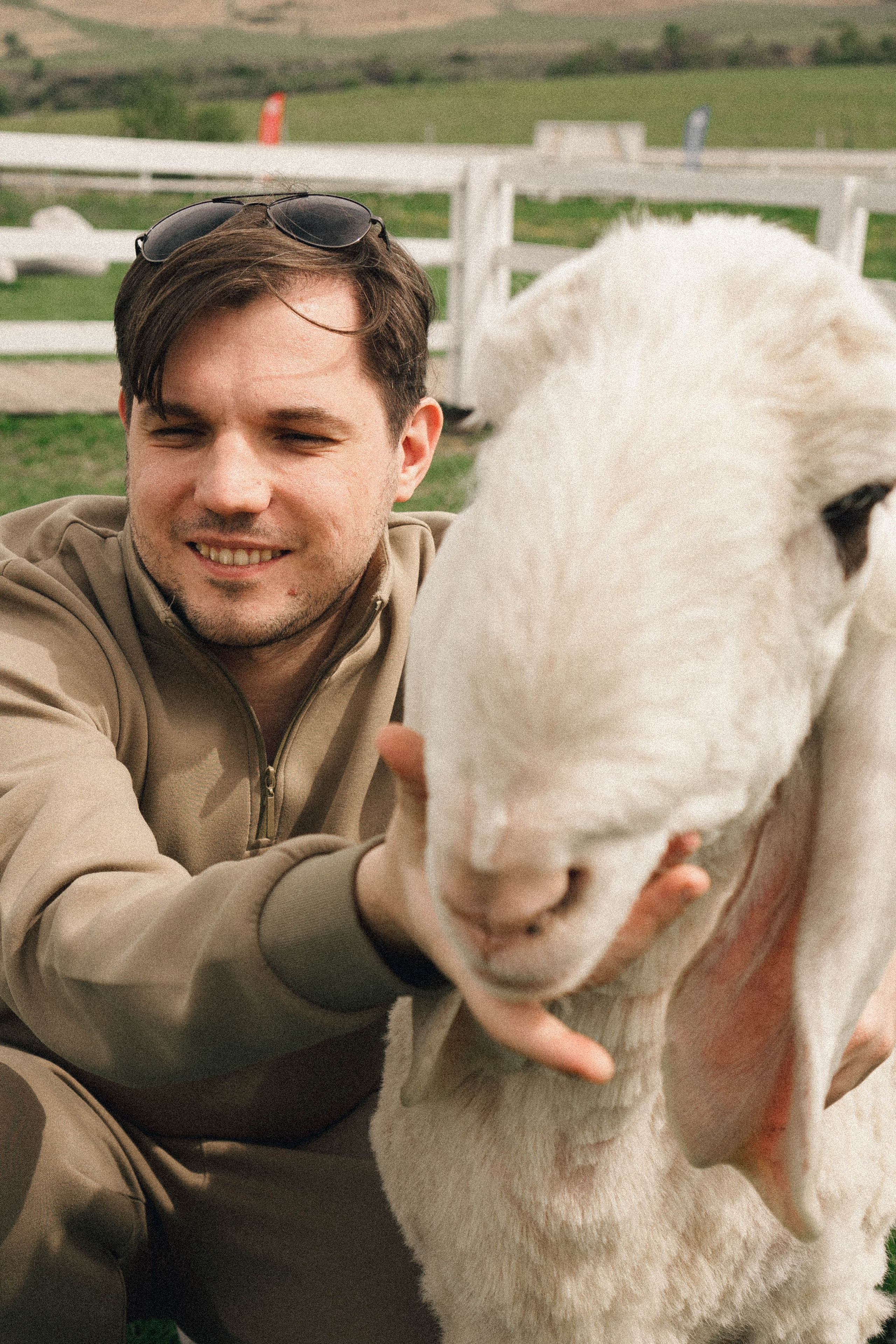 Ферма Альпак. Профессиональный фотограф, Санкт-Петербург — Виктория Богомолова