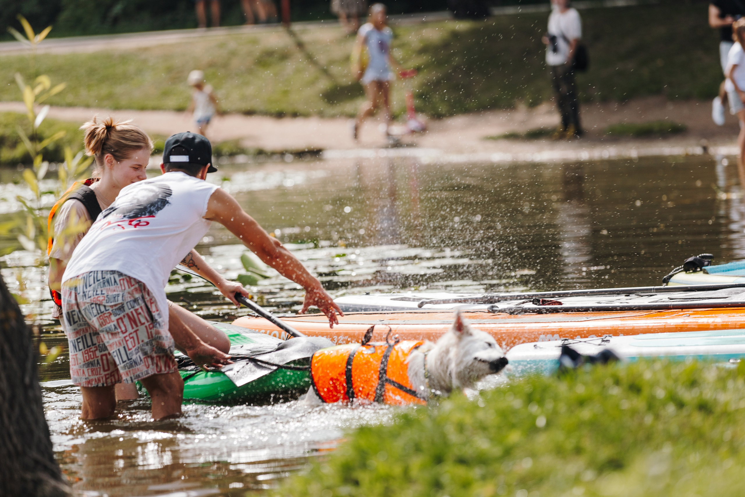 Petshop Sup day. Фотограф анималист Кристина Карпова, Москва