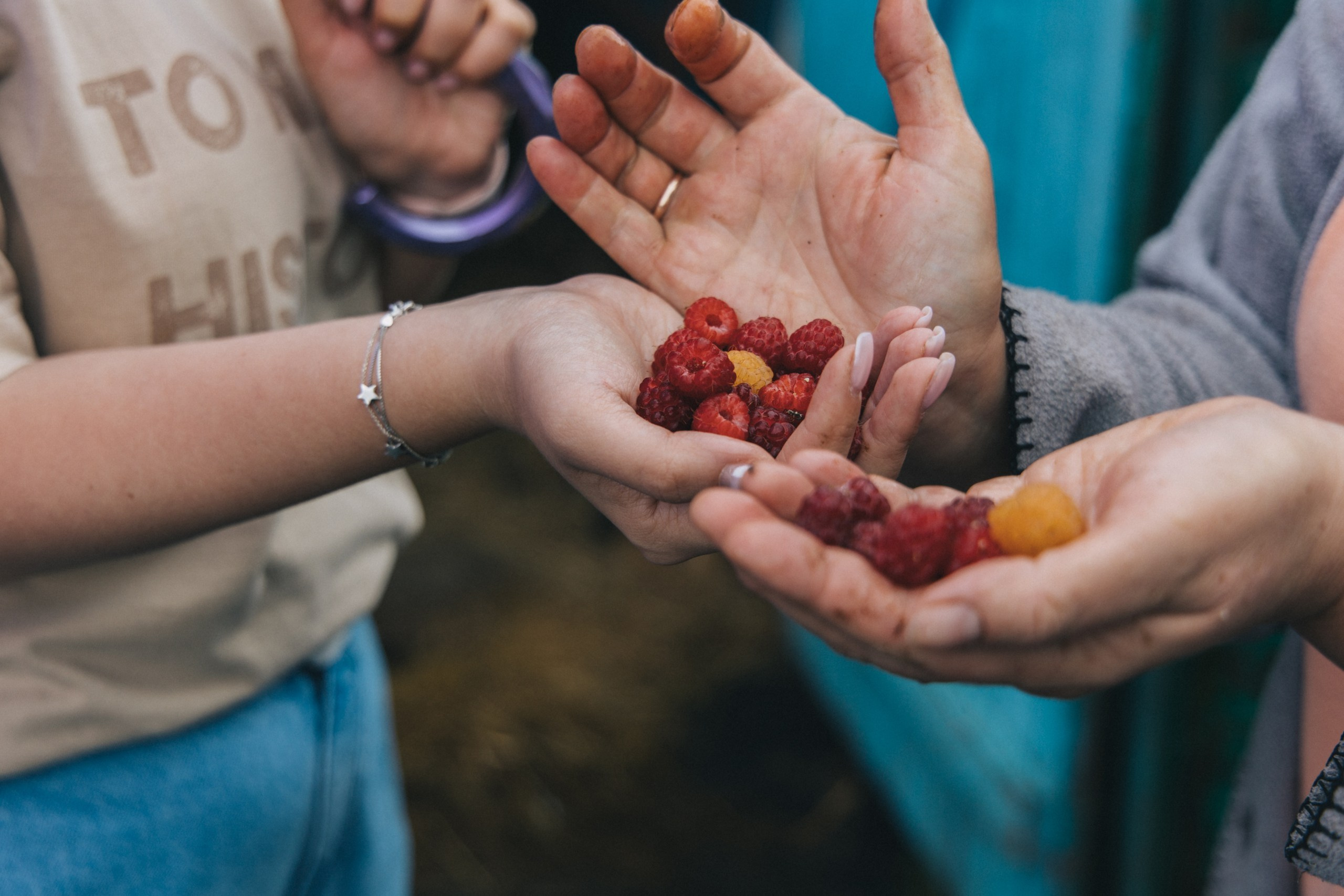 Любовь и Голуби. Обо мне