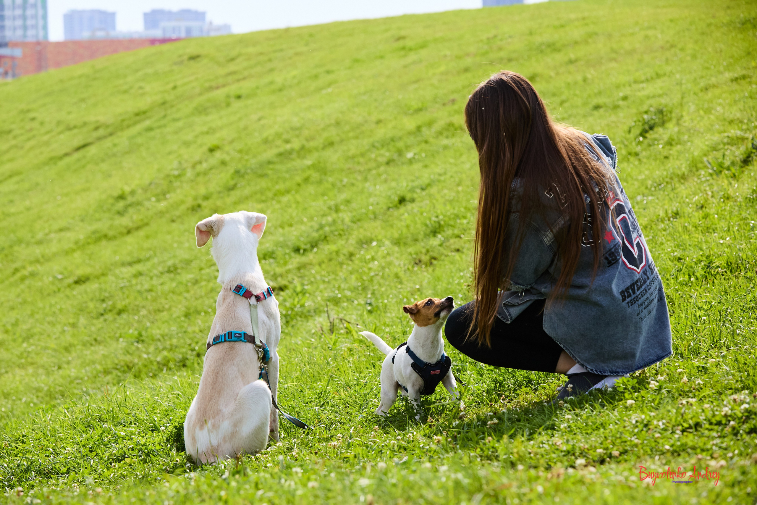 Проект фотопрогулка с хвостиком. Buyvolenko Andrey