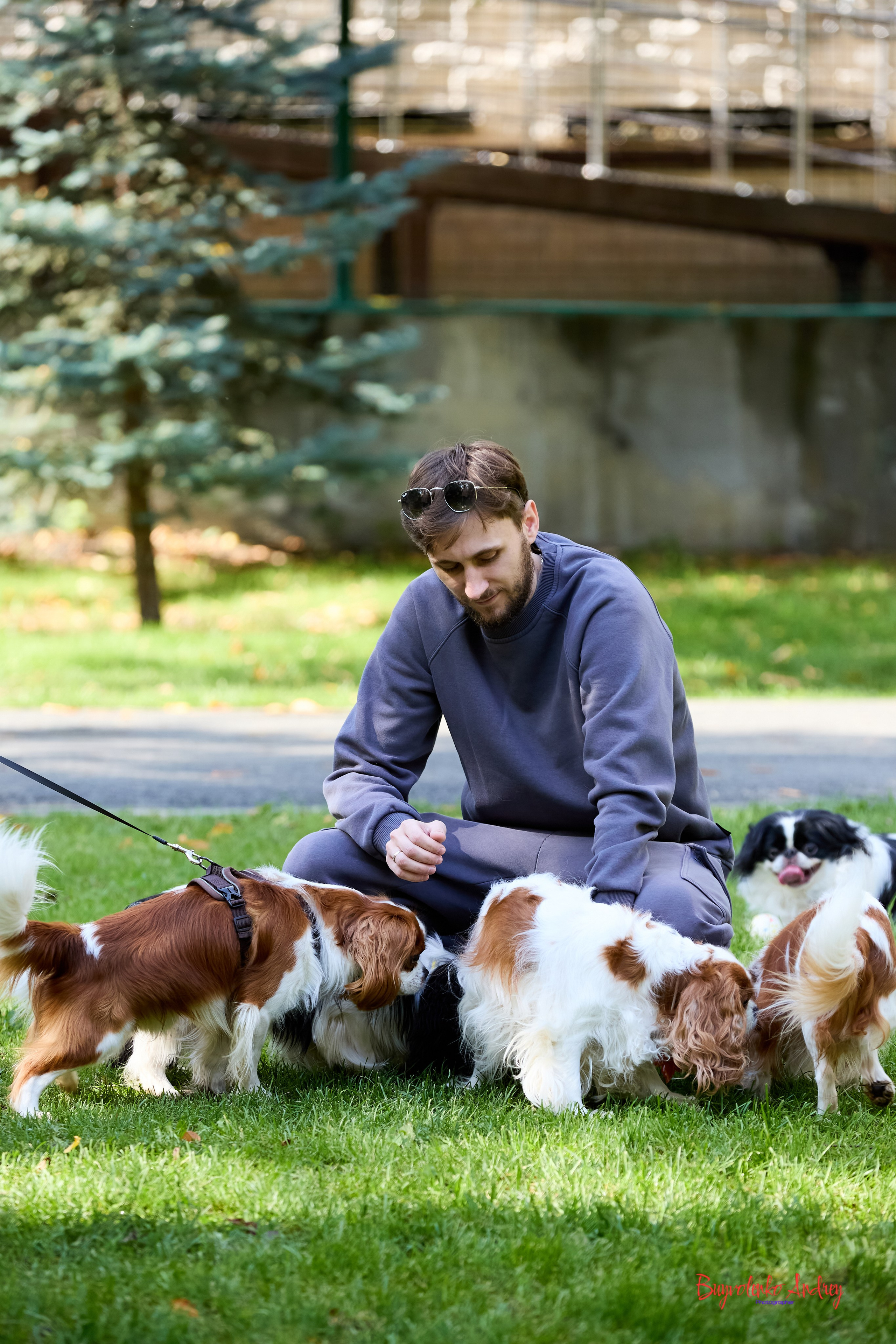 Фотопрогулка с кавалерами. Buyvolenko Andrey