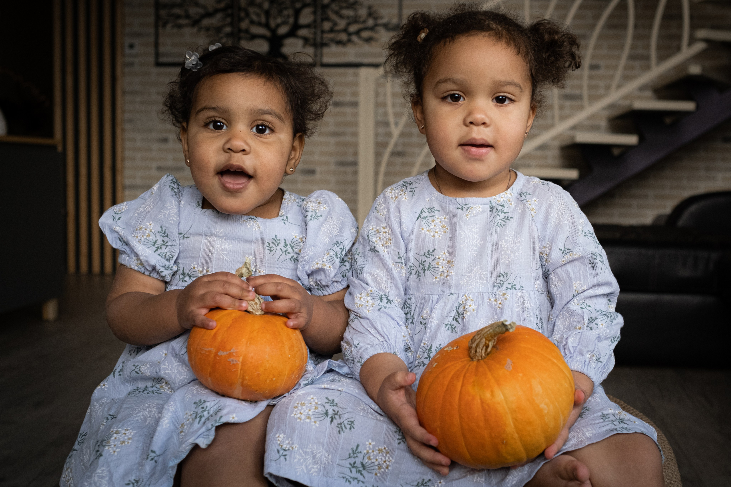 Катя, Рамзес и девочки. Семейный фотограф в Санкт-Петербурге Дарья Косянчук