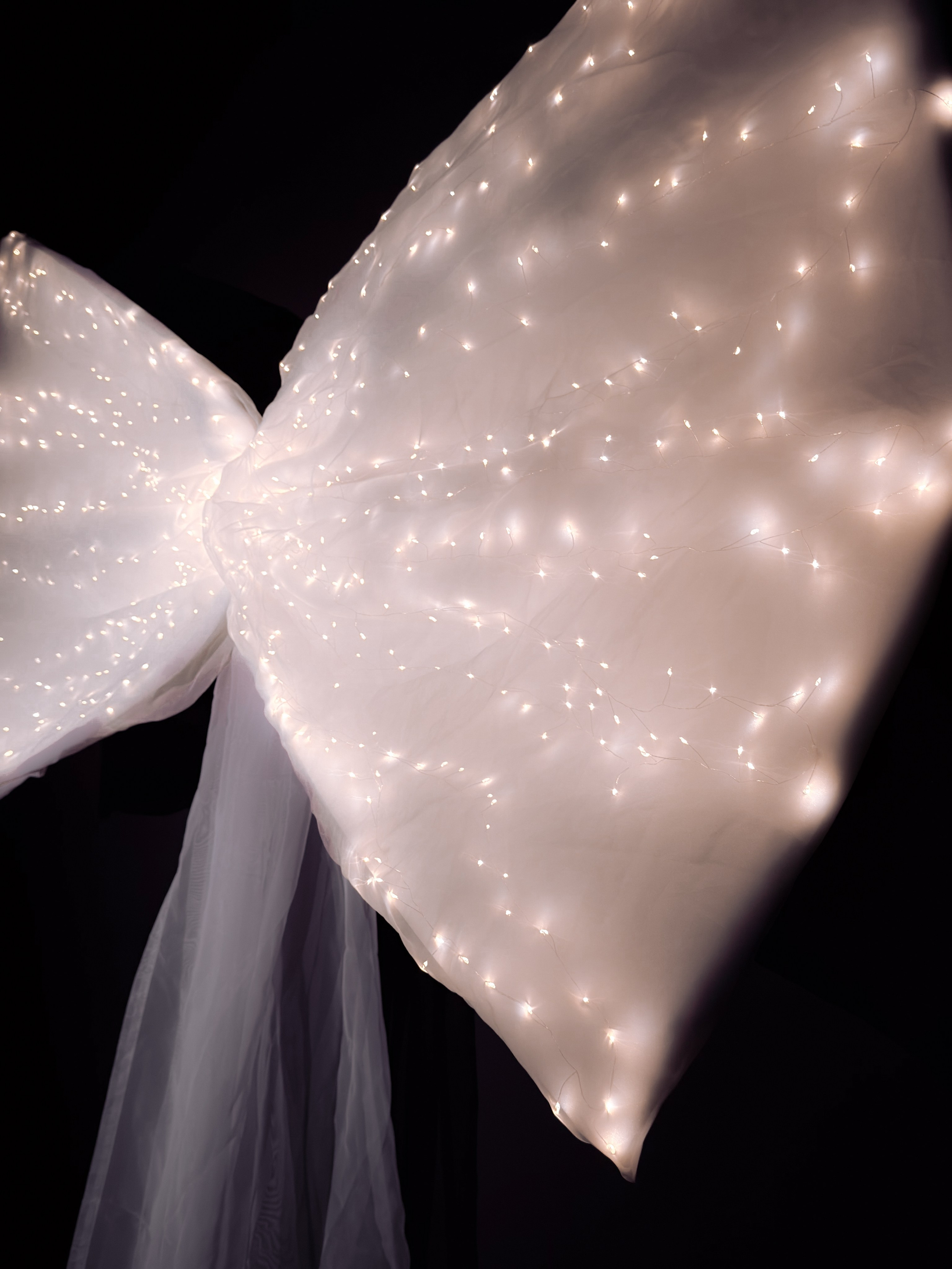 Зал ART * NY 2026. Фотостудия Элис