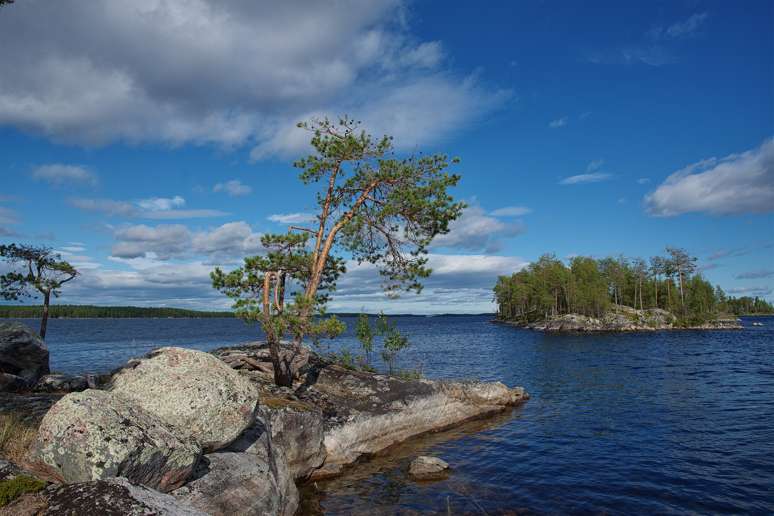 Пейзажи. Сайт фотографа Елены Михайловой. Фотосессии на пленэре в Сестрорецке