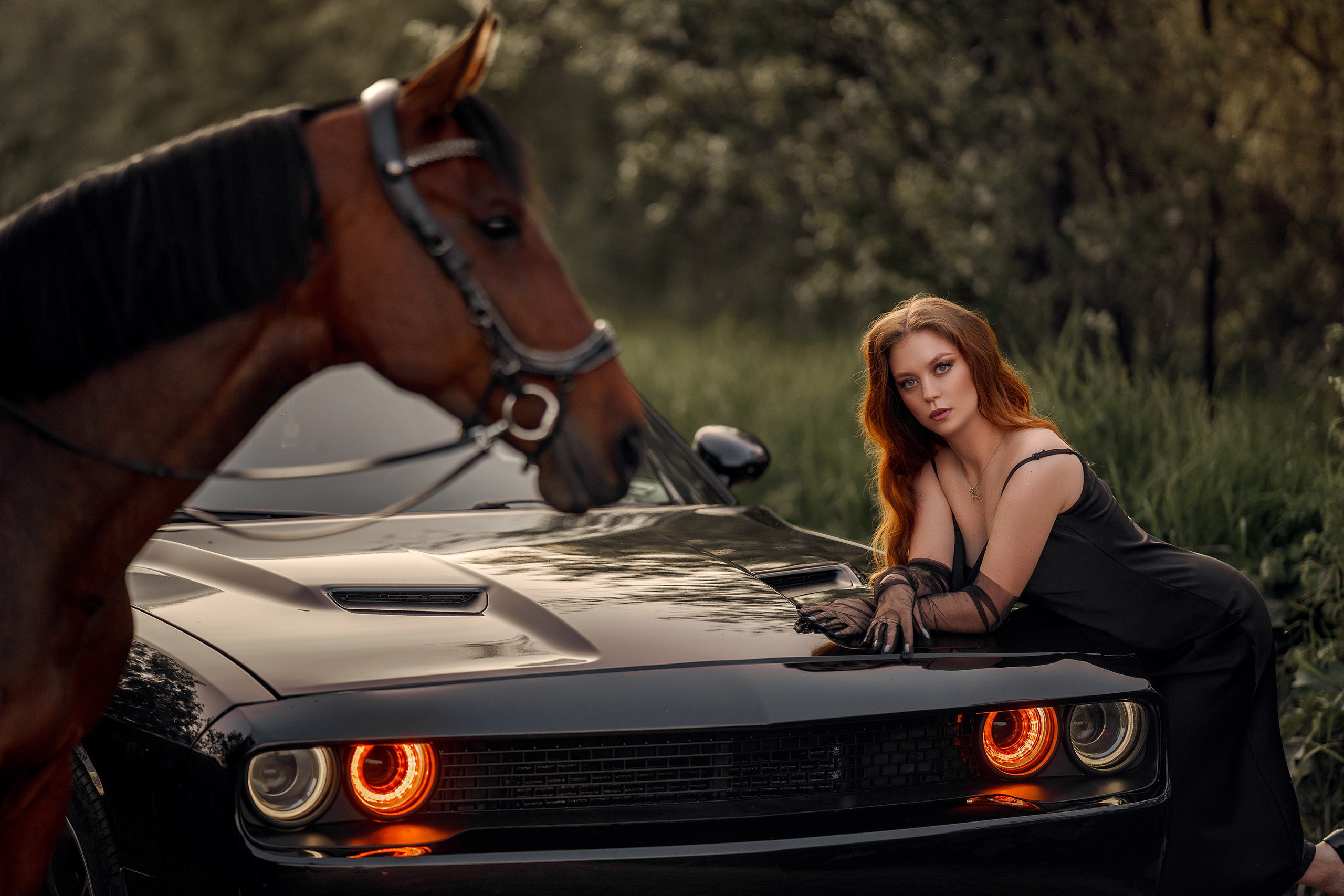 Фотограф Артемьева Катерина|фотосессии с лошадьми