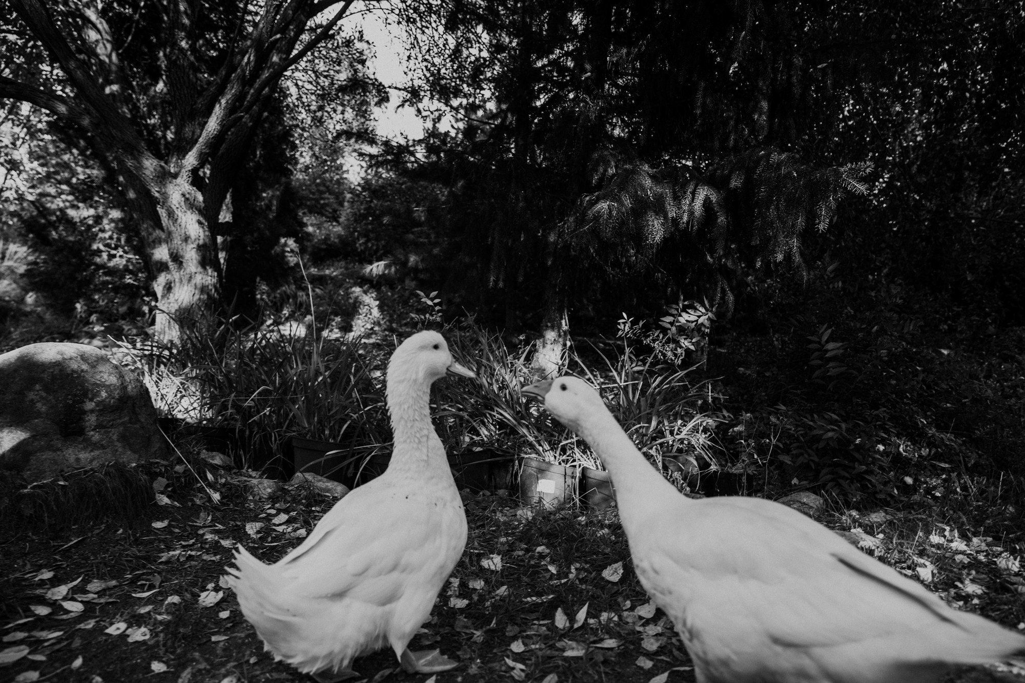 Свадьба Виталий и Мария. Творческий фотограф в Москве Наталья Ермолова