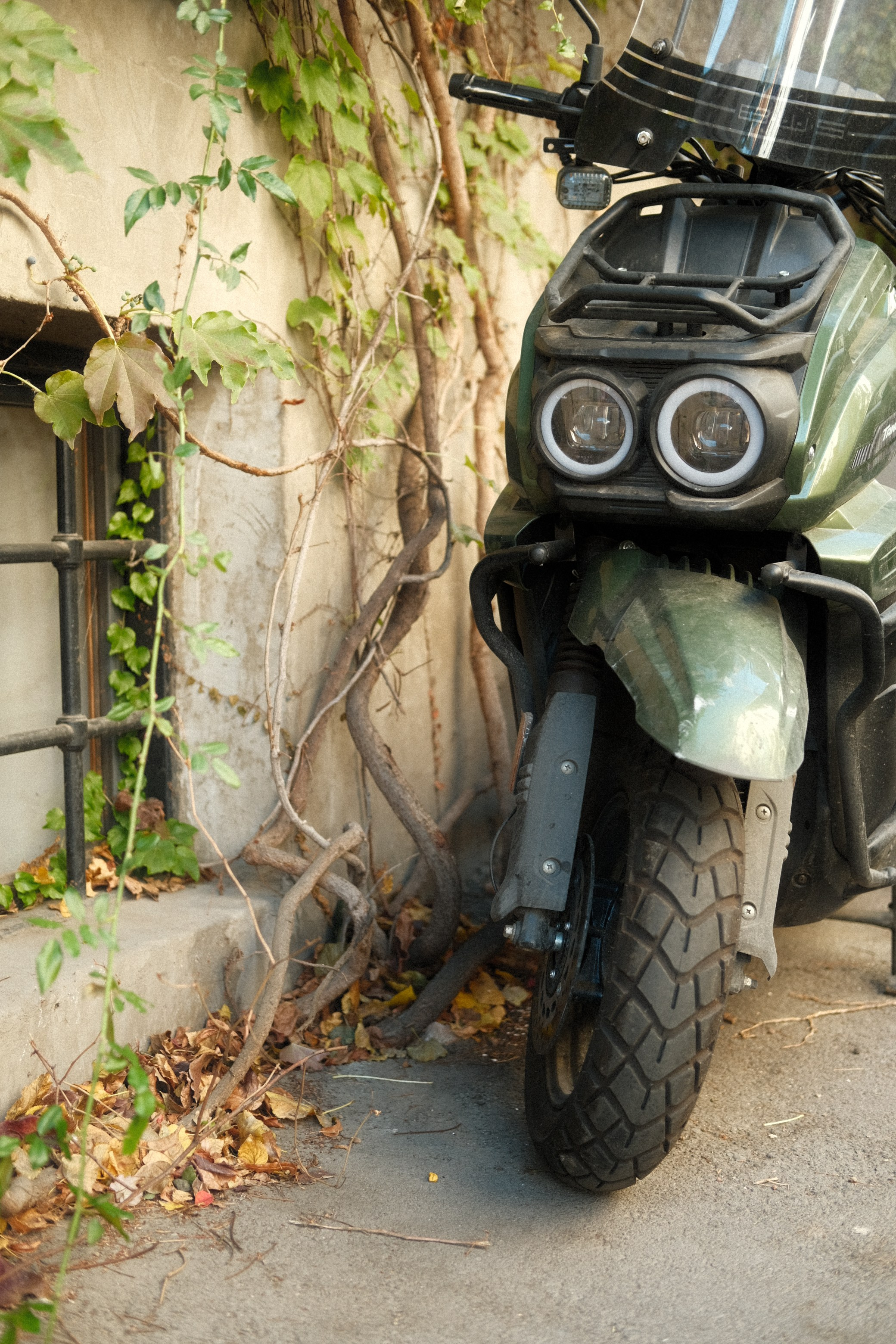 Тбилиси. Фотограф Сергей Красников